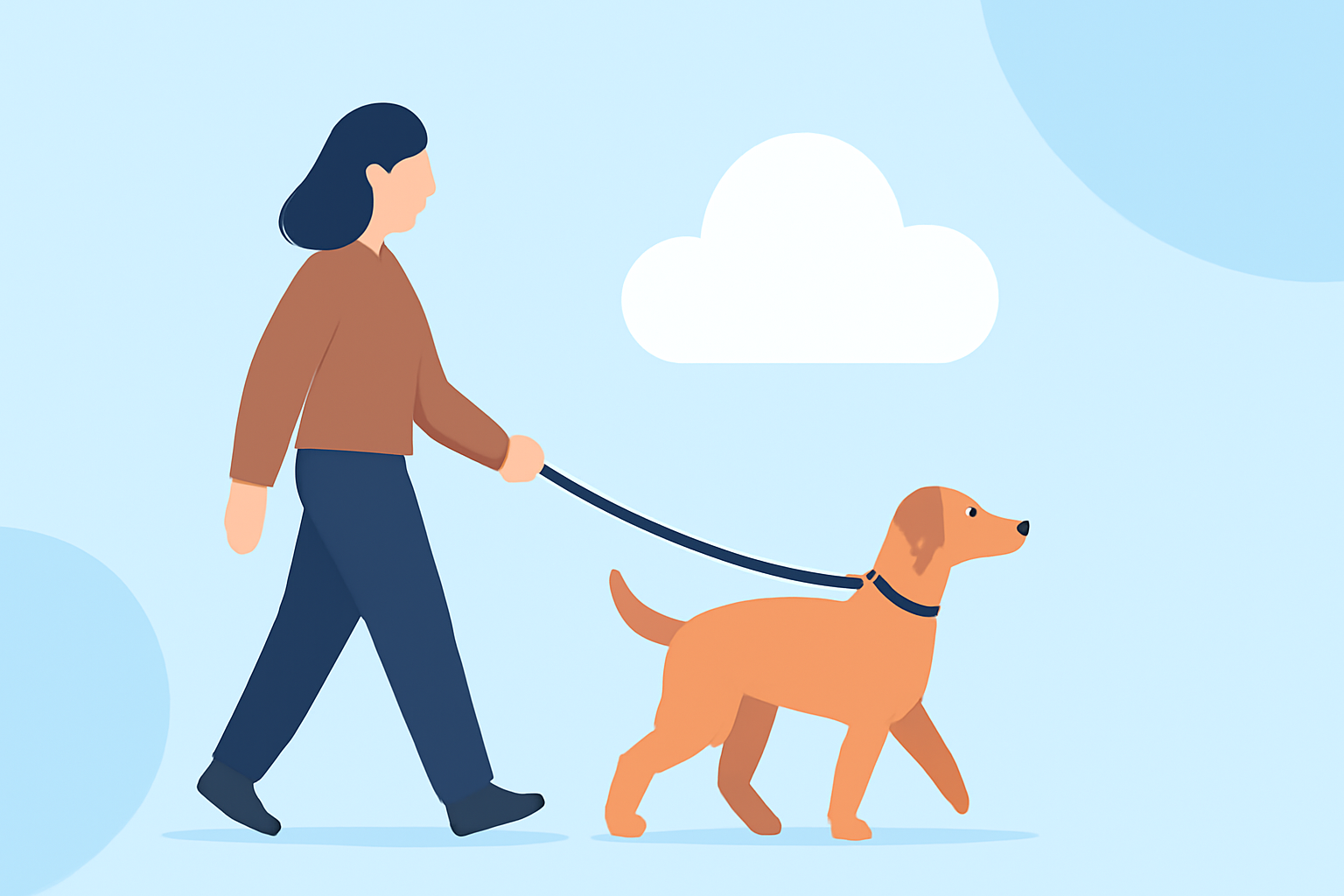 Weather for Outdoor Walking Explained for Pet Owners