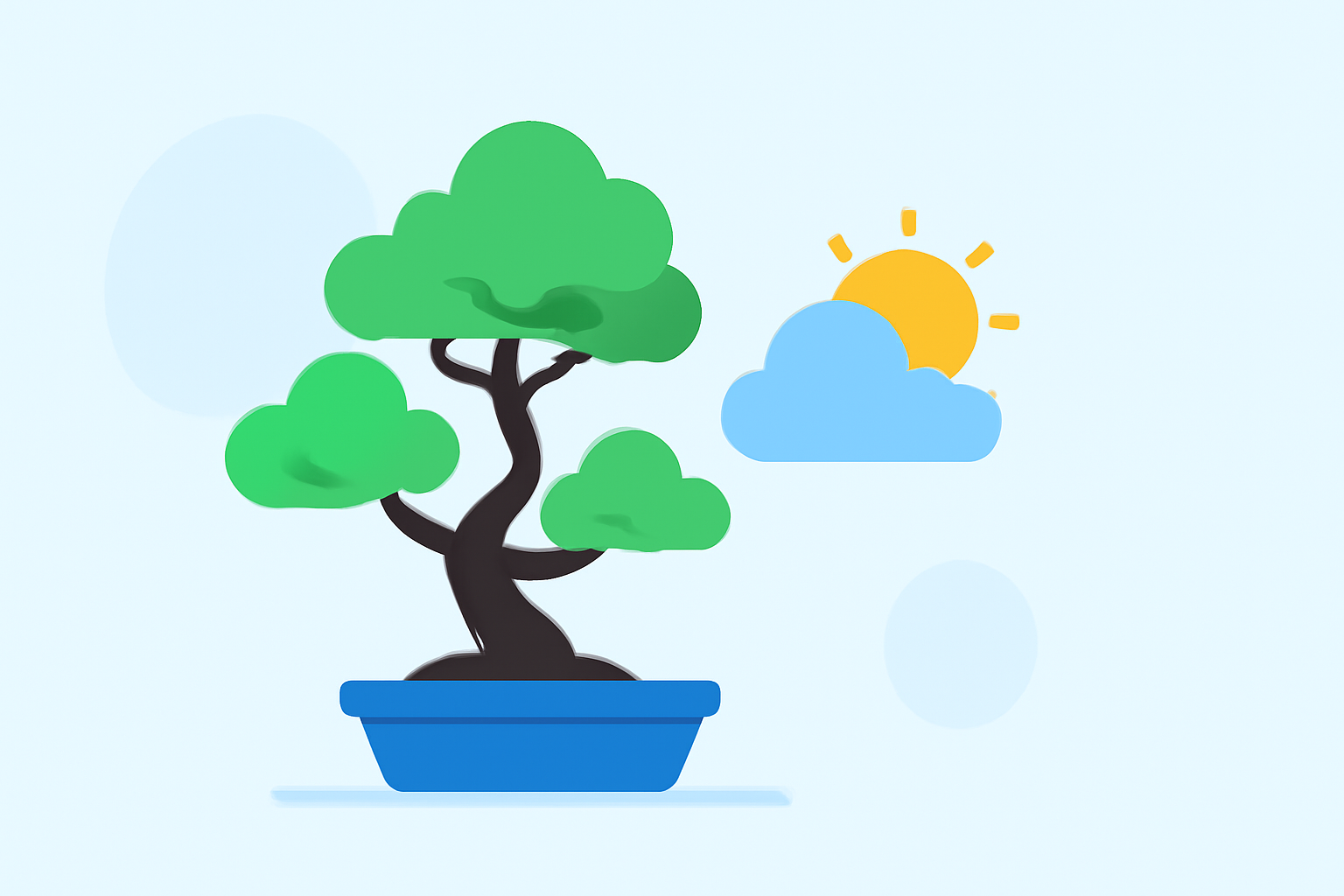 Weather Care Guide for Bonsai in 2026