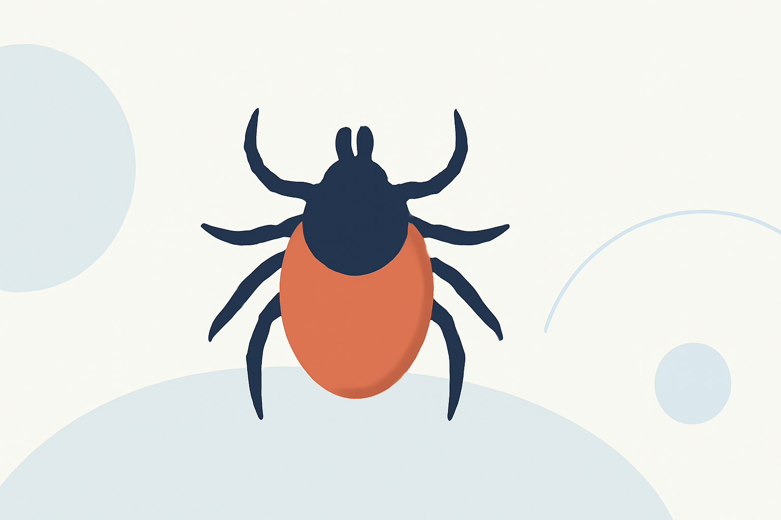 Understanding Tick Season: A Comprehensive Guide