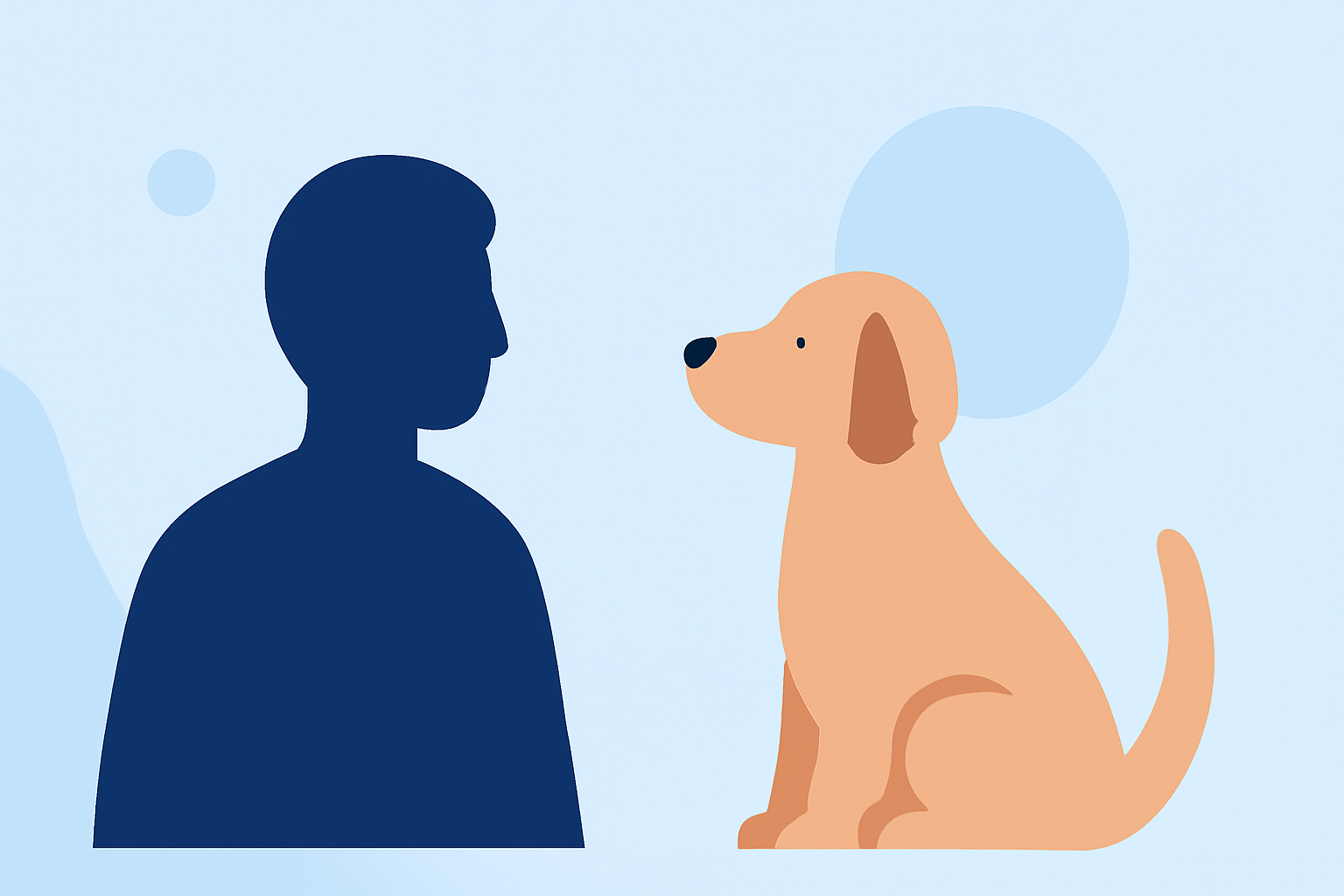Outdoor Sports Air Quality Mistakes to Avoid for Pet Owners