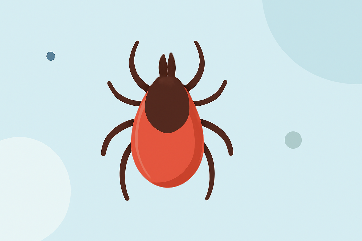 Tick Season Outlook: Essential Guide for Travelers in the United States