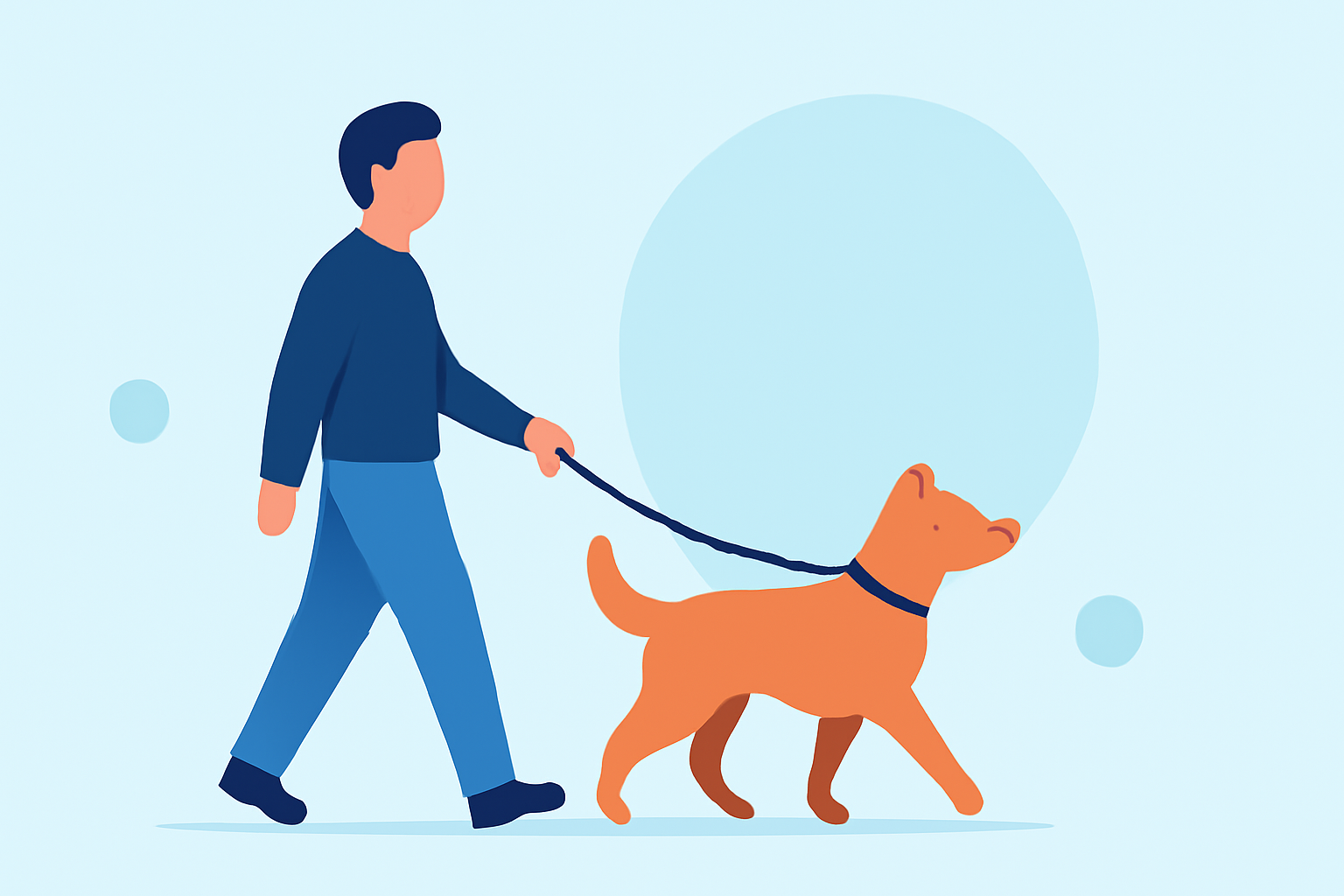 Essential Tips for Walking Your Pet During Travel Days