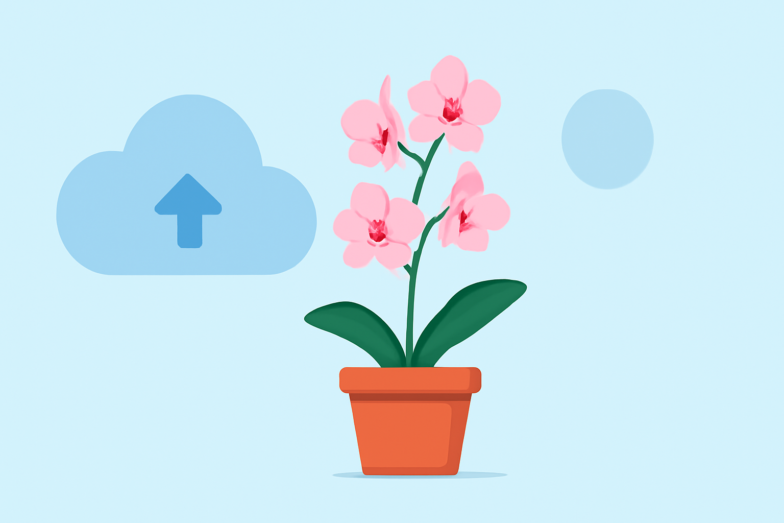 Optimizing Weather Conditions for Outdoor Orchid Growing Enthusiasts