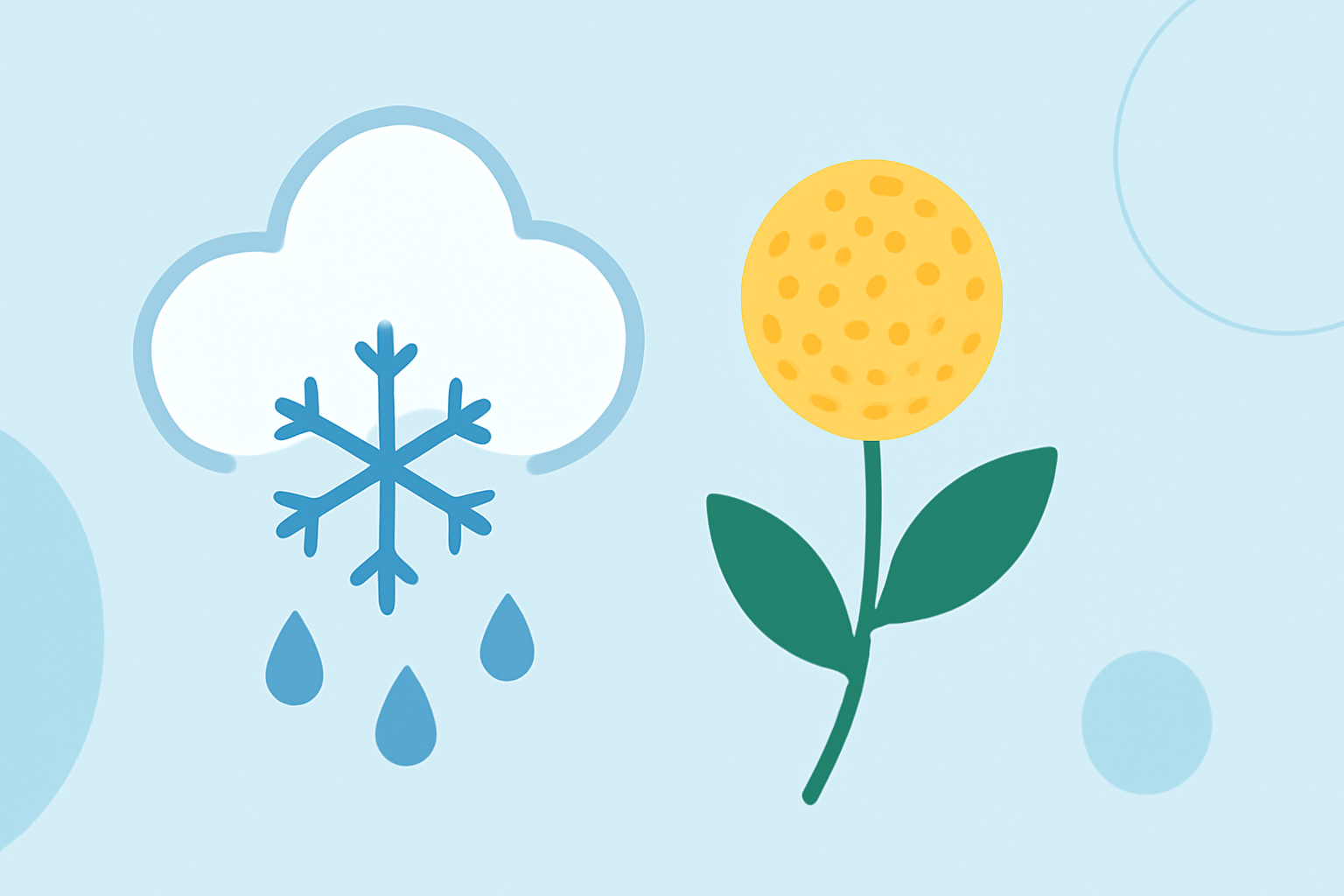 Understanding Mixed Precipitation Forecasts During Pollen Season