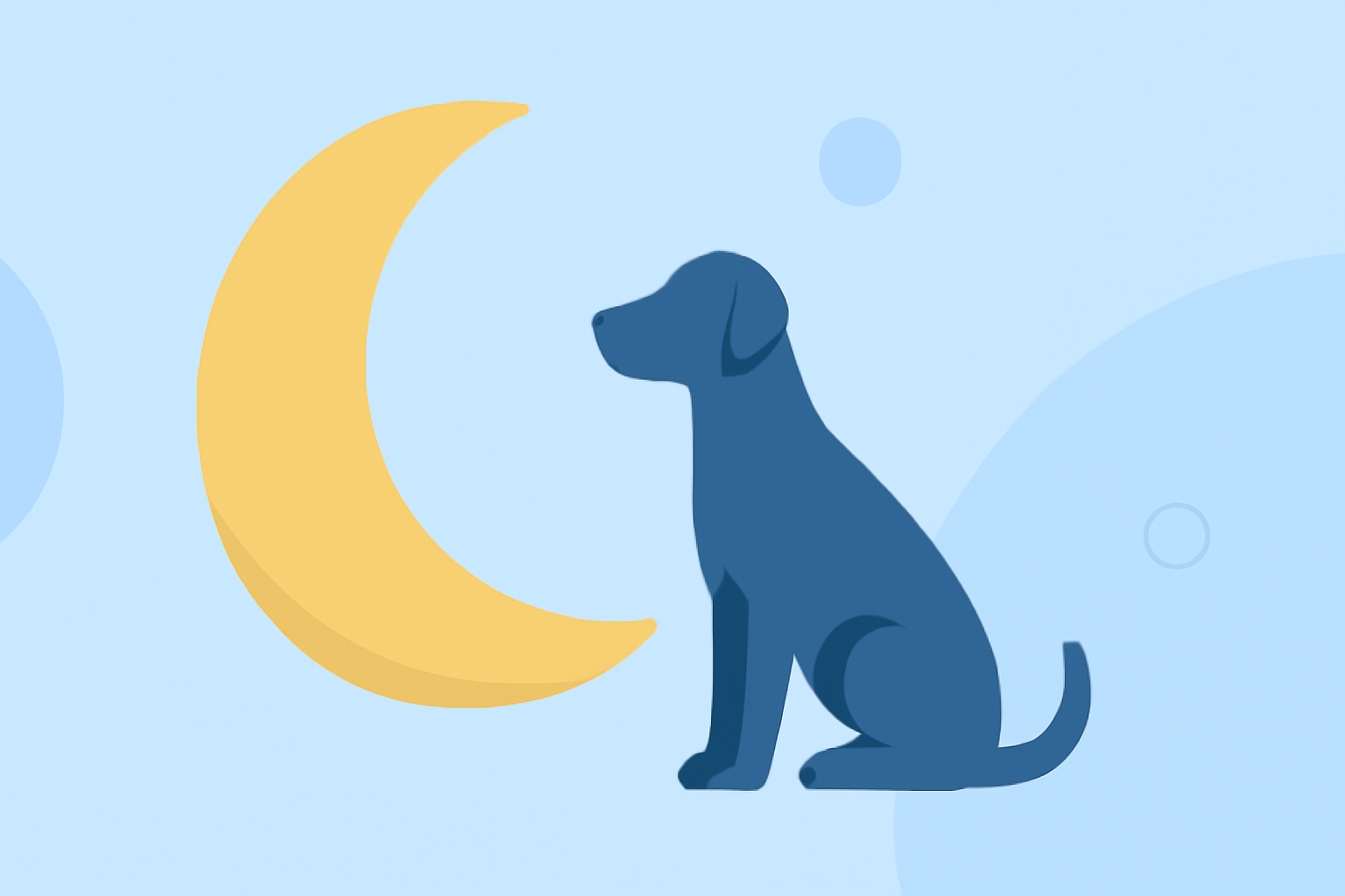 Understanding Moon Phases and Their Impact on Pet Behavior