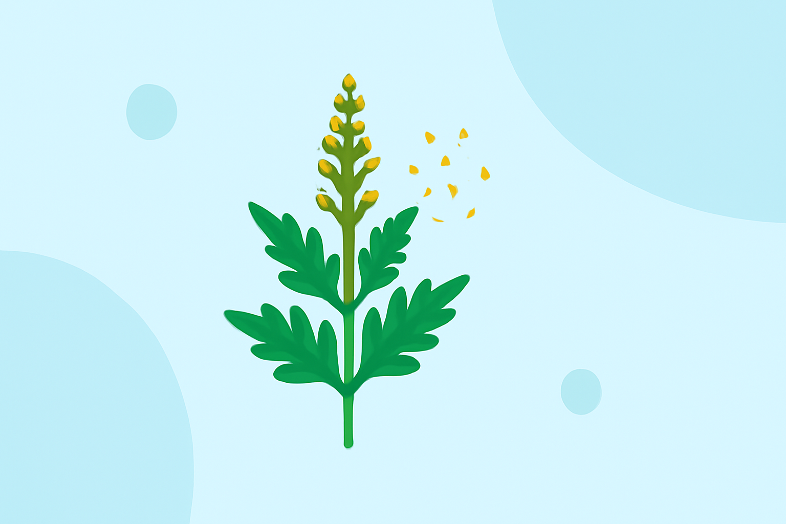 Understanding Ragweed Pollen Season in the United States