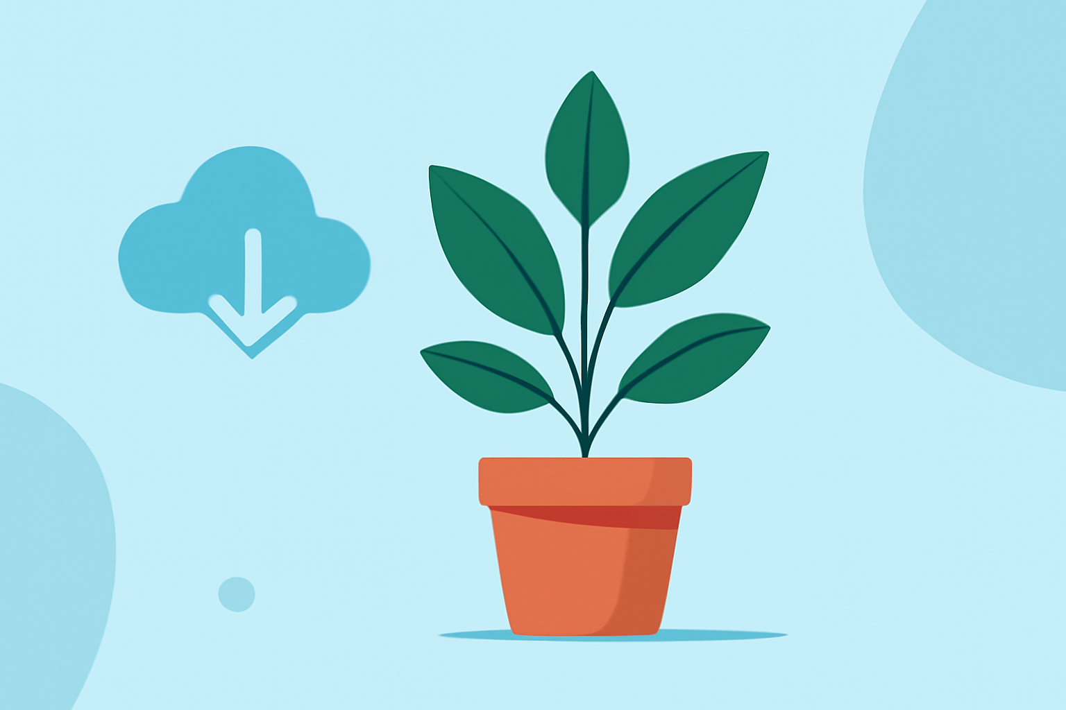 Weather for Indoor Plant Care Explained