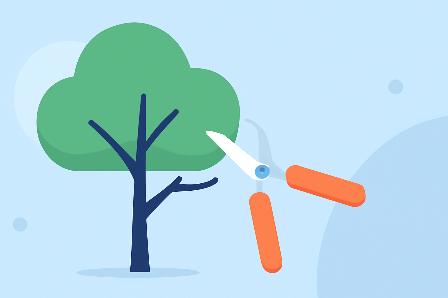 Optimal Tree Pruning Times in 2026: A Regional Guide for the United States