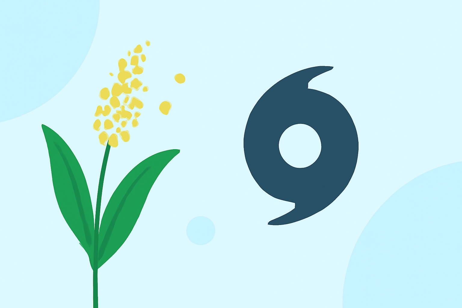 Understanding Grass Pollen During Hurricane Season