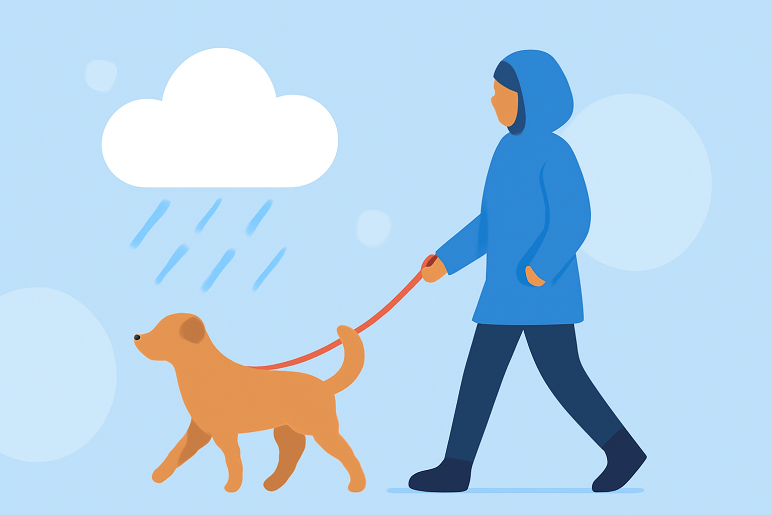 Weather Guidelines for Pet Walking During Outdoor Events