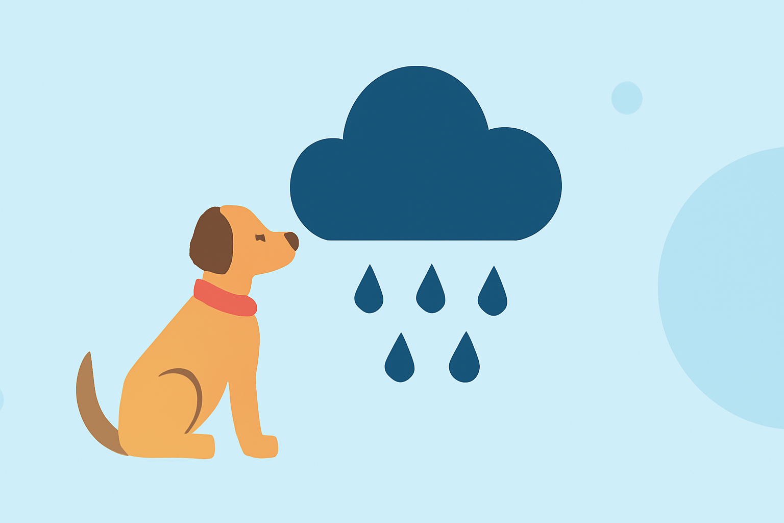 Weather for Dog Walking: A Comprehensive Guide