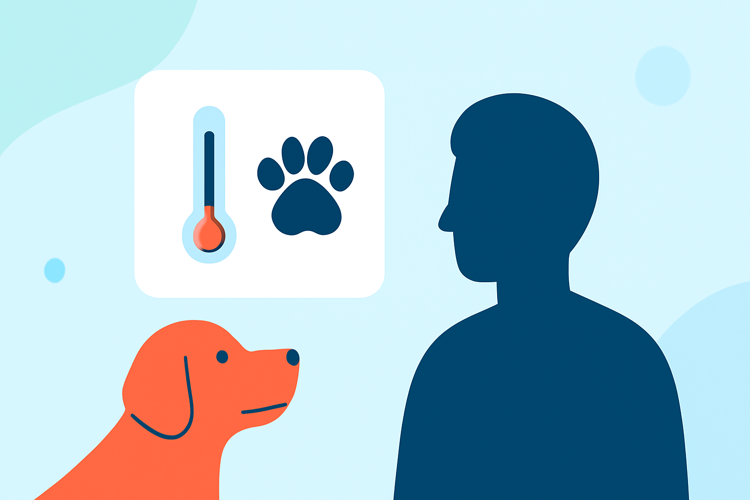 The Feels-Like Temperature Workflow for Pet Owners