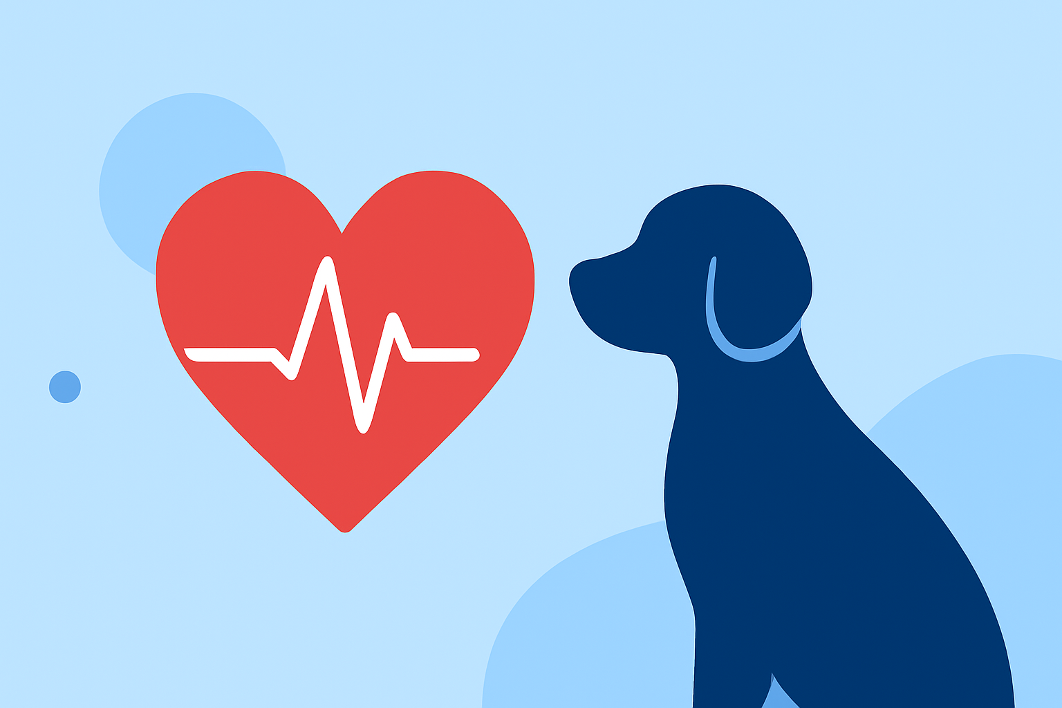Heart Health Weather Guide for Pet Owners