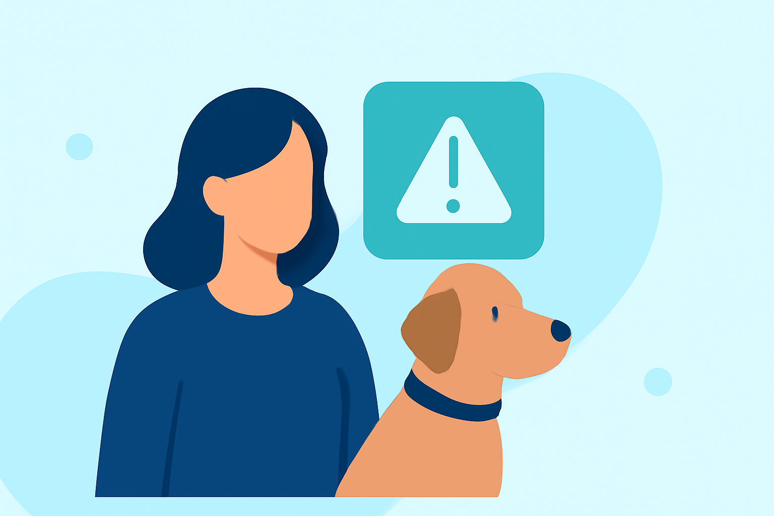 Coastal Flood Alerts: A Step-by-Step Guide for Pet Owners