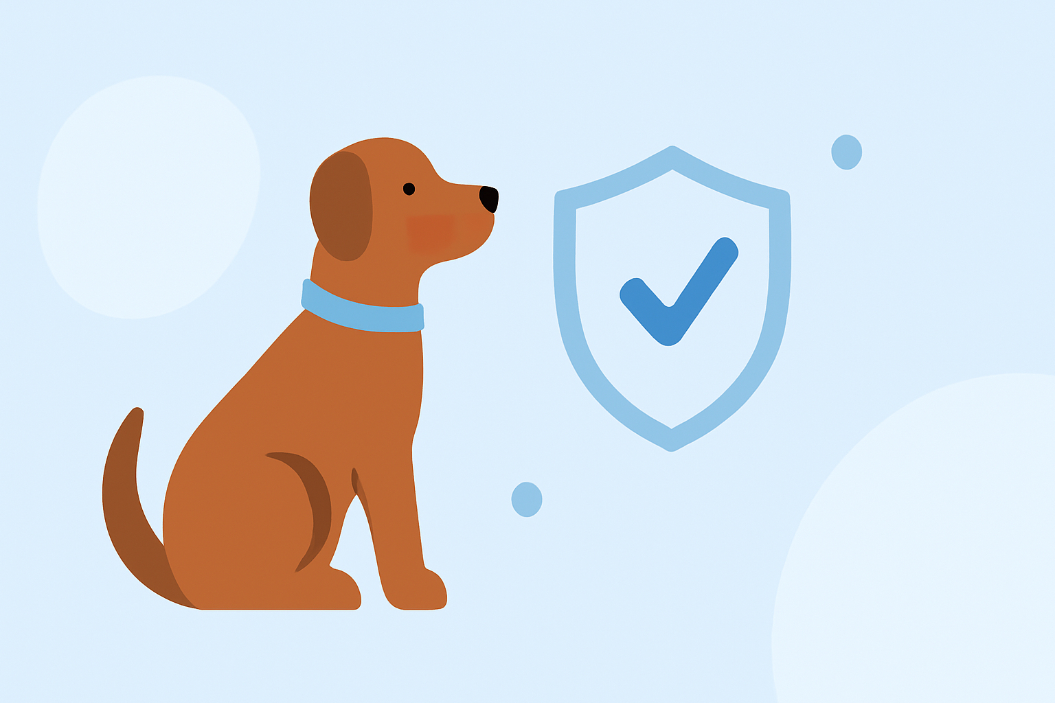 Protecting Your Pets During Air Quality Alerts: A Step-by-Step Guide