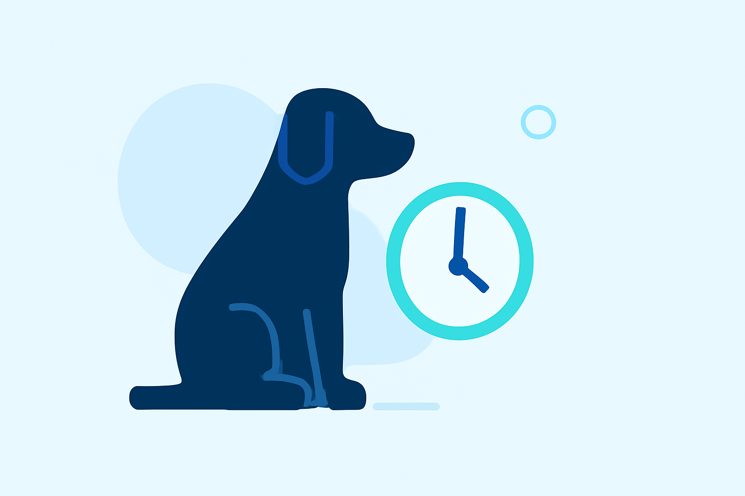 Common Rain Stop Time Questions for Pet Owners