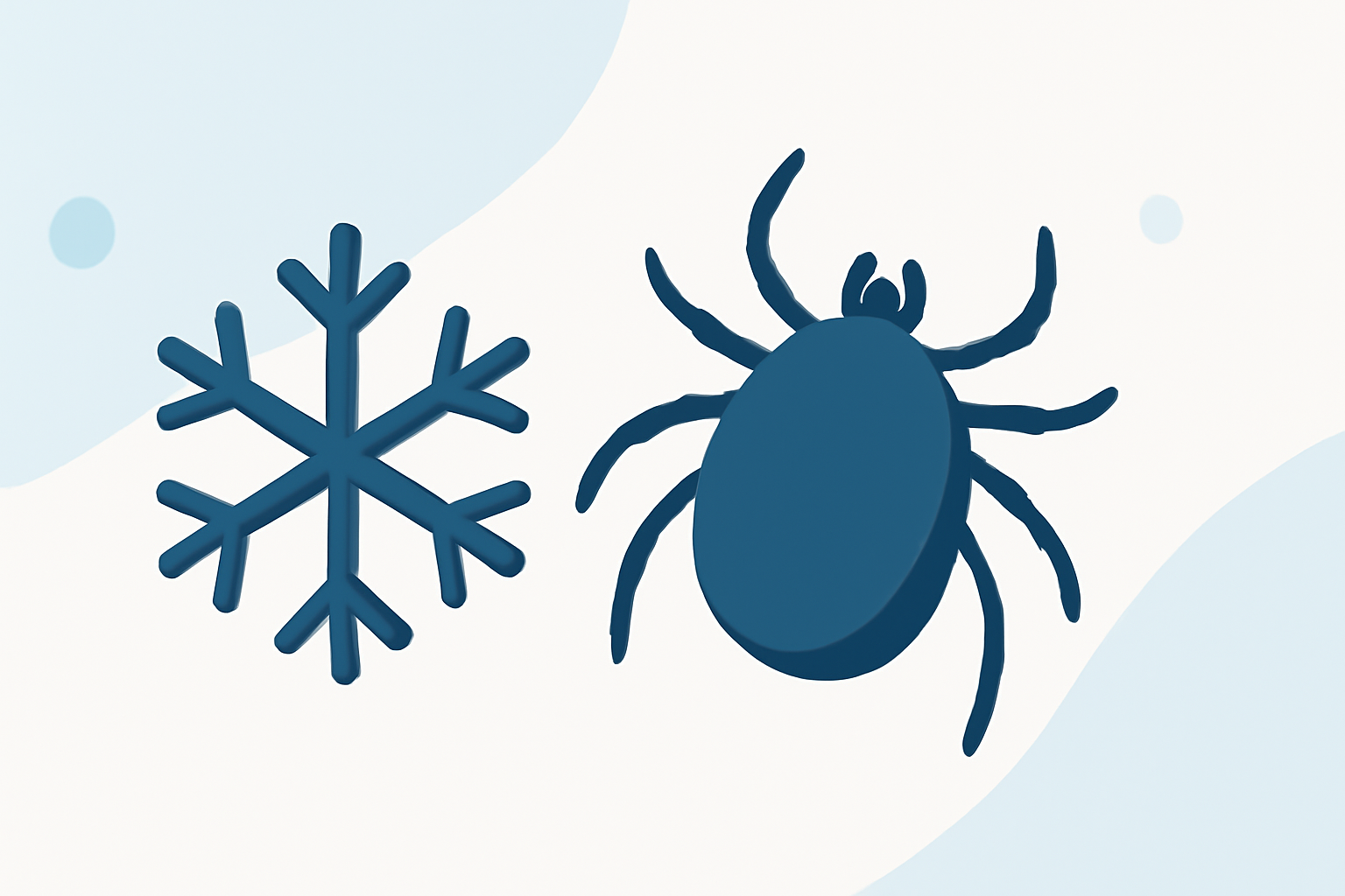 Tips for Managing Tick Season During Winter Storms