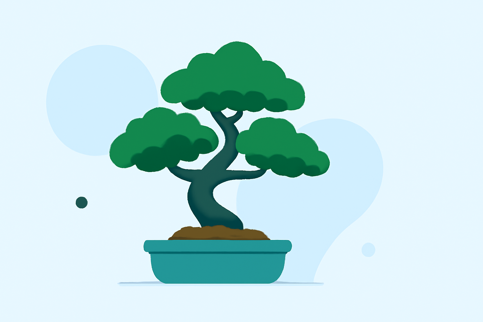 Optimal Weather Conditions for Bonsai Care in the United States