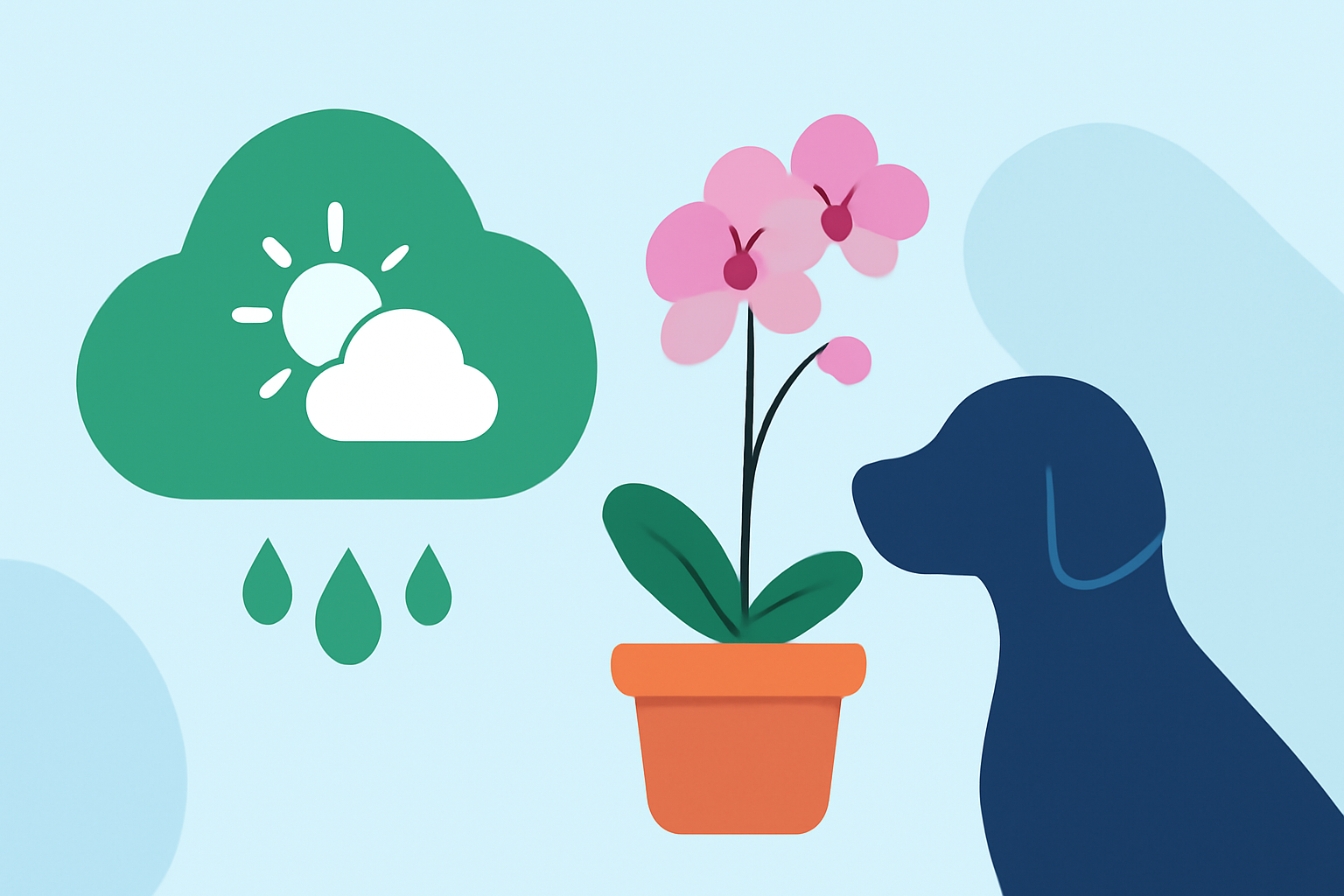 An Introduction to Weather for Orchid Growing for Pet Owners