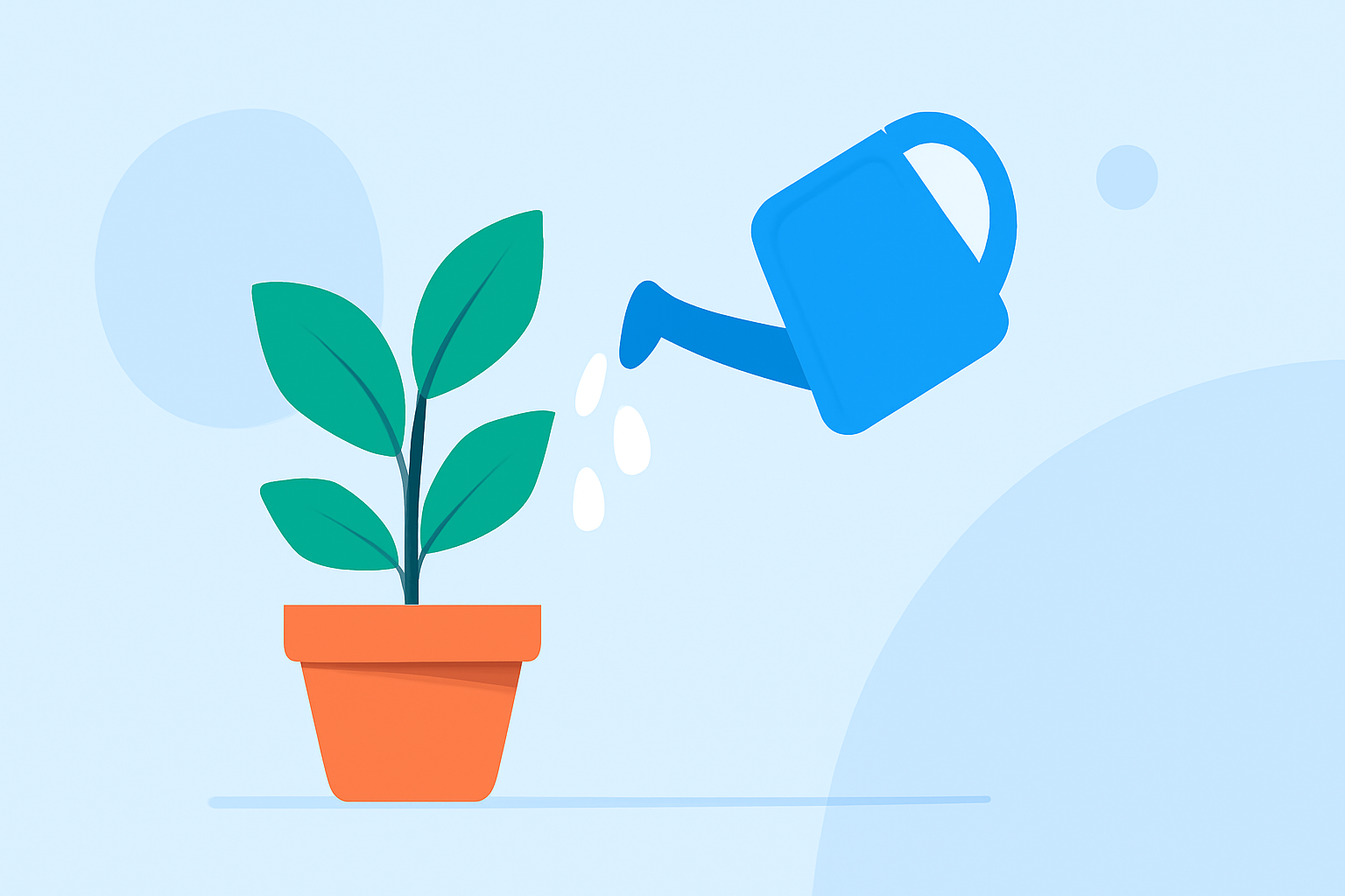 Weather for Indoor Plant Care: A Step-by-Step Guide