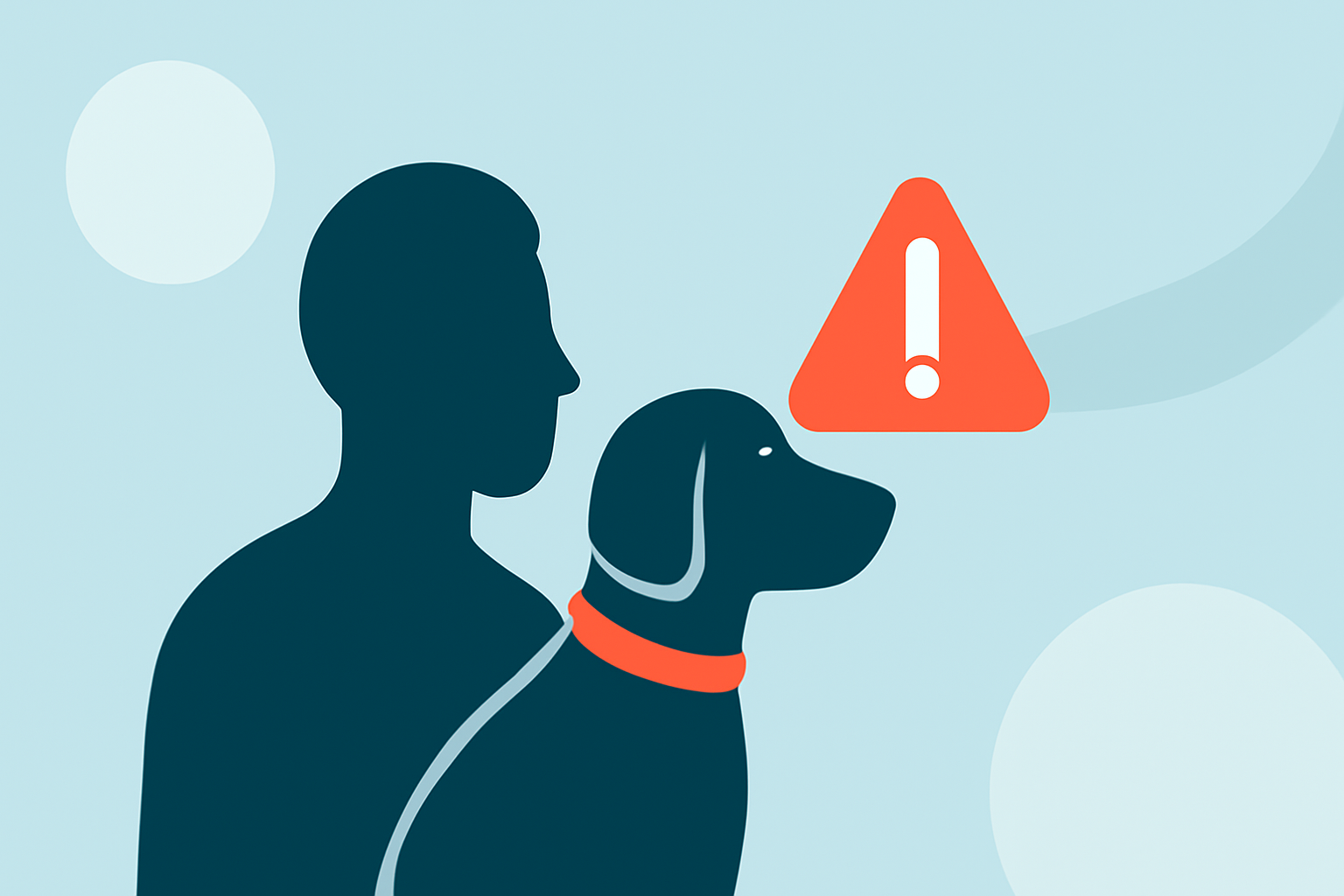 Flood Safety Guide for Pet Owners