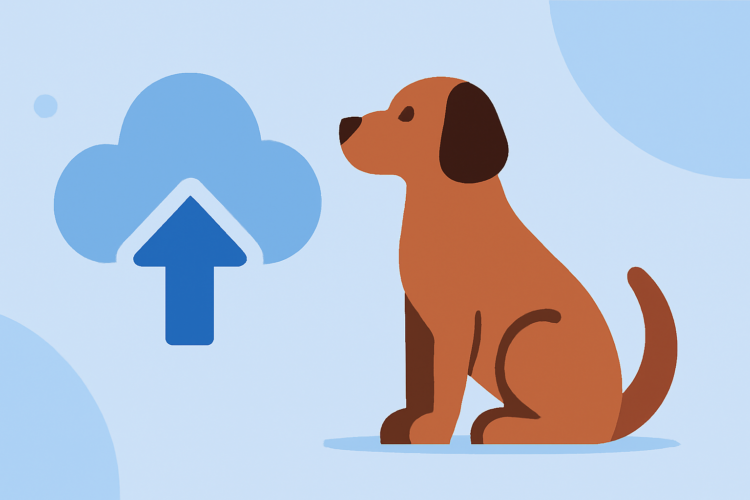 Essential El Niño Insights for Pet Owners