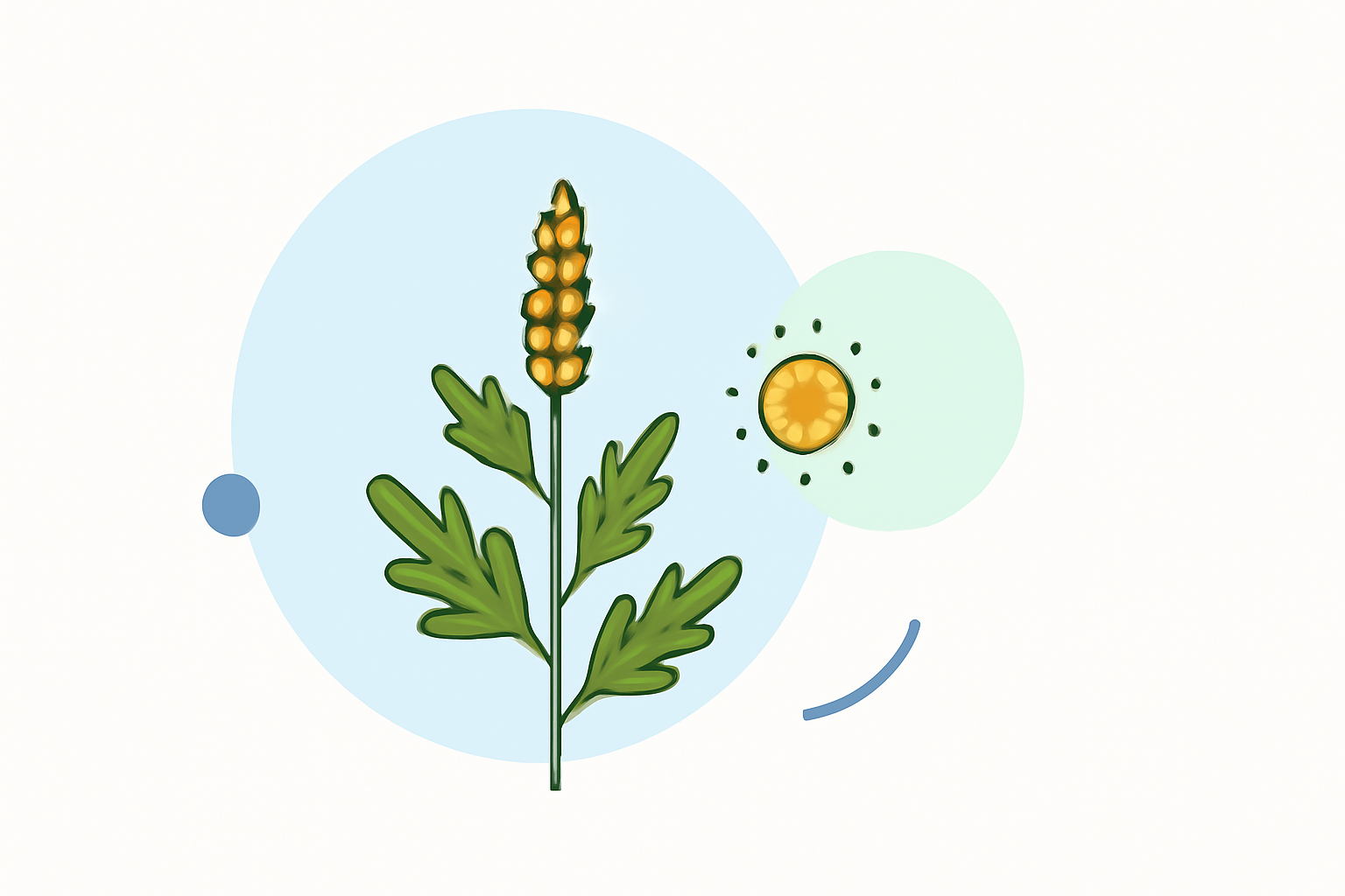 Understanding Ragweed Pollen: A Beginner's Guide