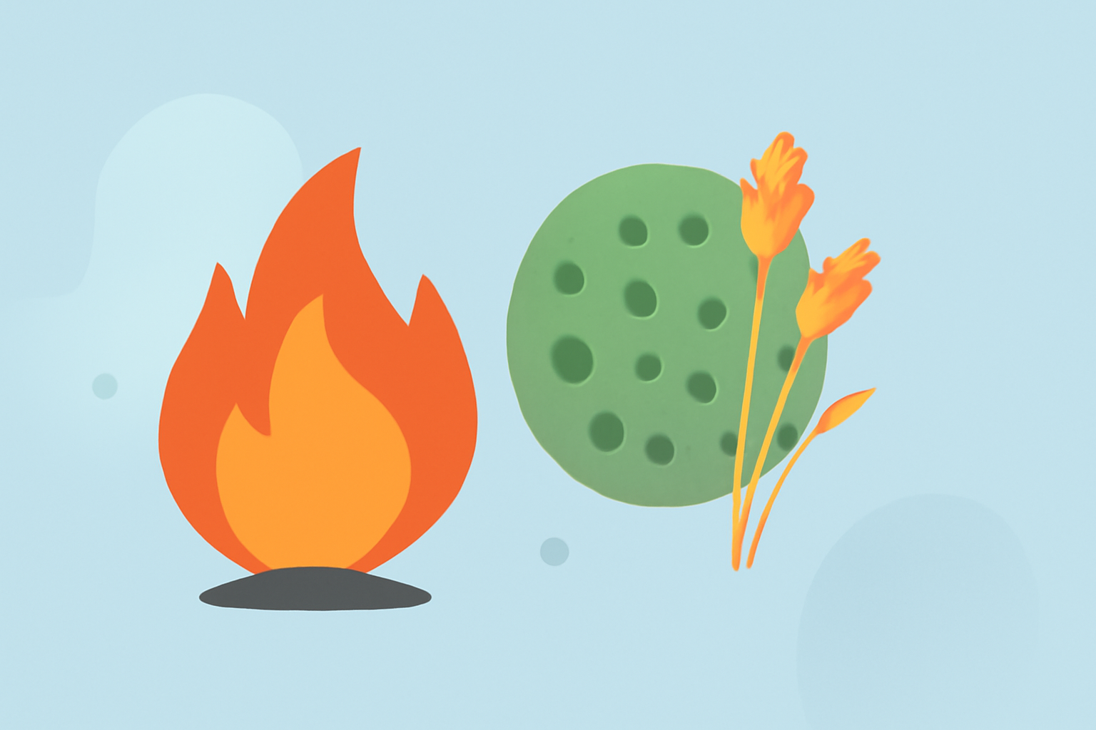 Understanding the Interplay Between Wildfires and Pollen Seasons in the United States