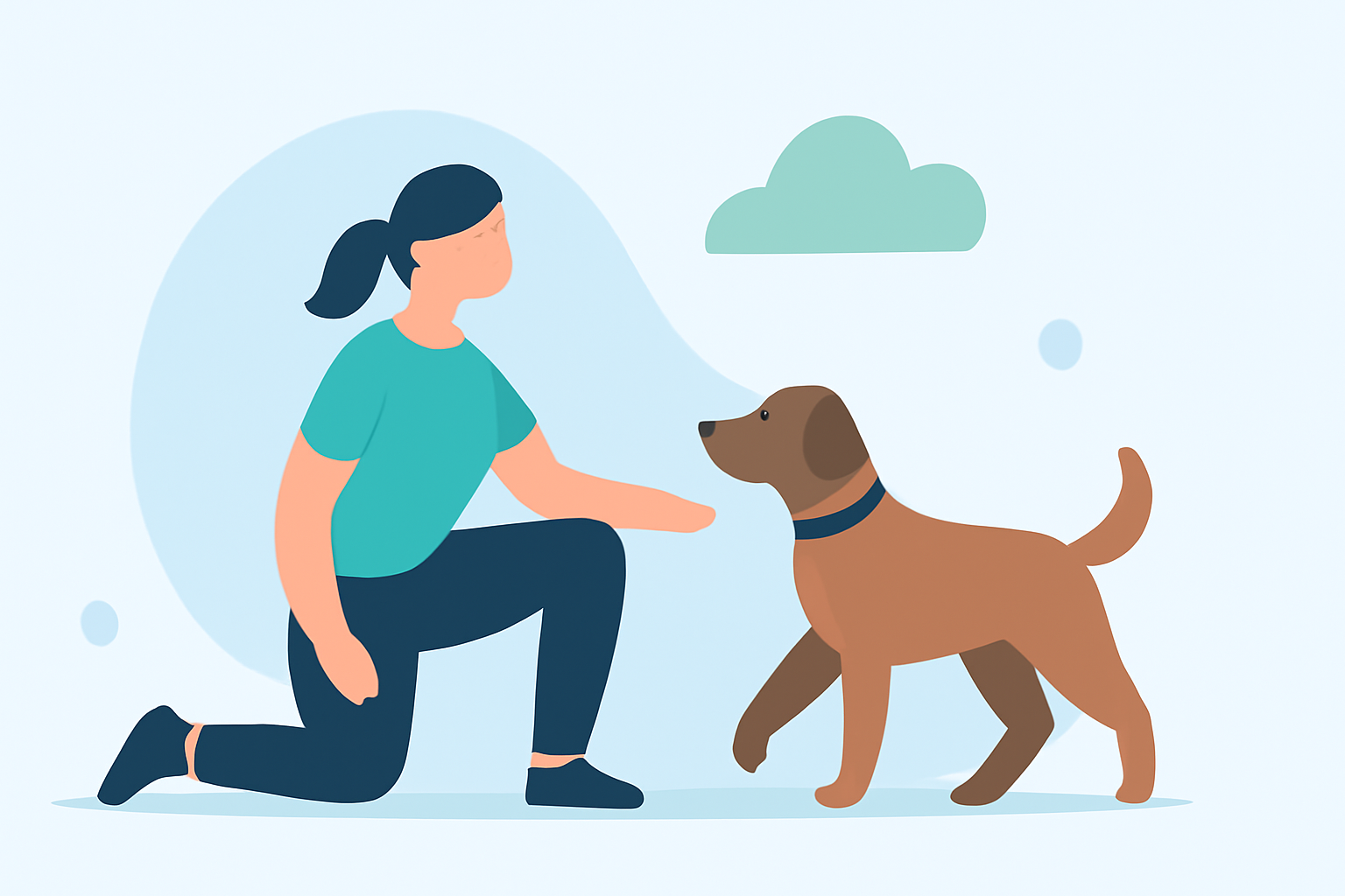 Exercise Air Quality Guide for Pet Owners