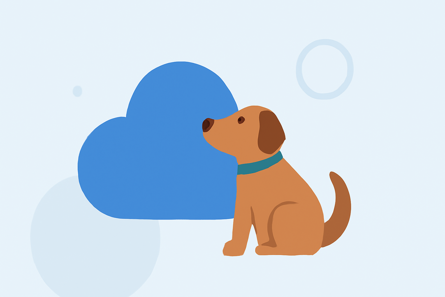 Air Quality Basics for Pet Owners