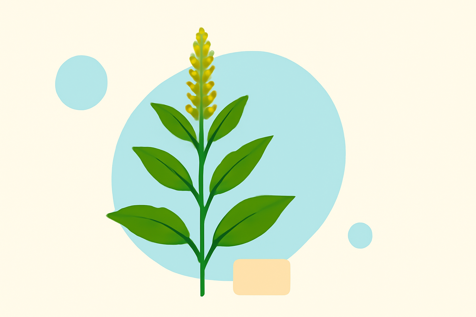 Getting Started with Ragweed Pollen During Pollen Season