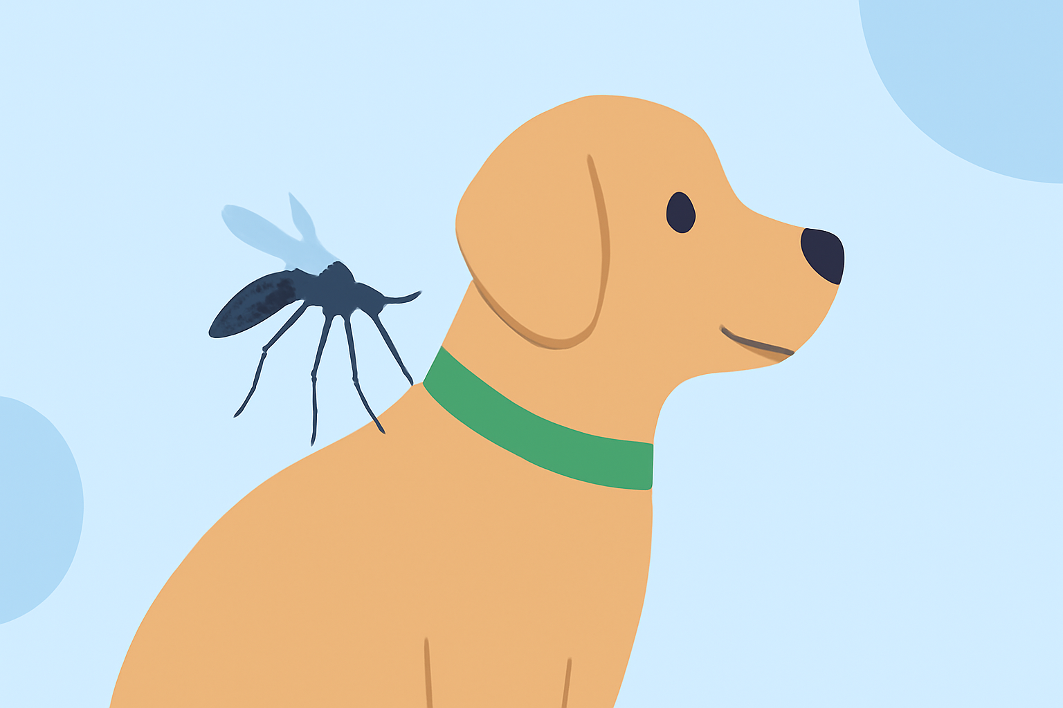 Common Mosquito Season Outlooks Questions for Pet Owners