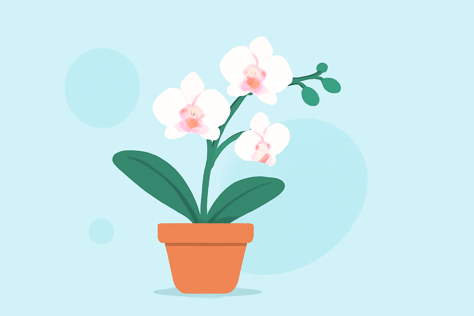 Optimal Weather Conditions for Orchid Growth: A Step-by-Step Guide