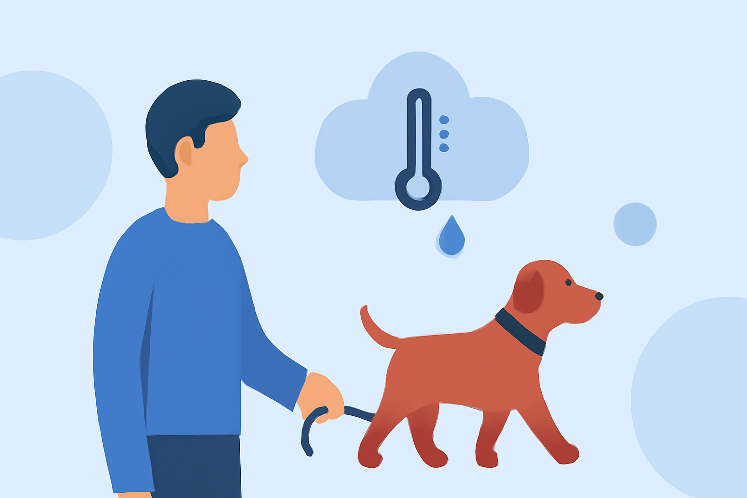 Essential Weather Considerations for Safe Dog Walking