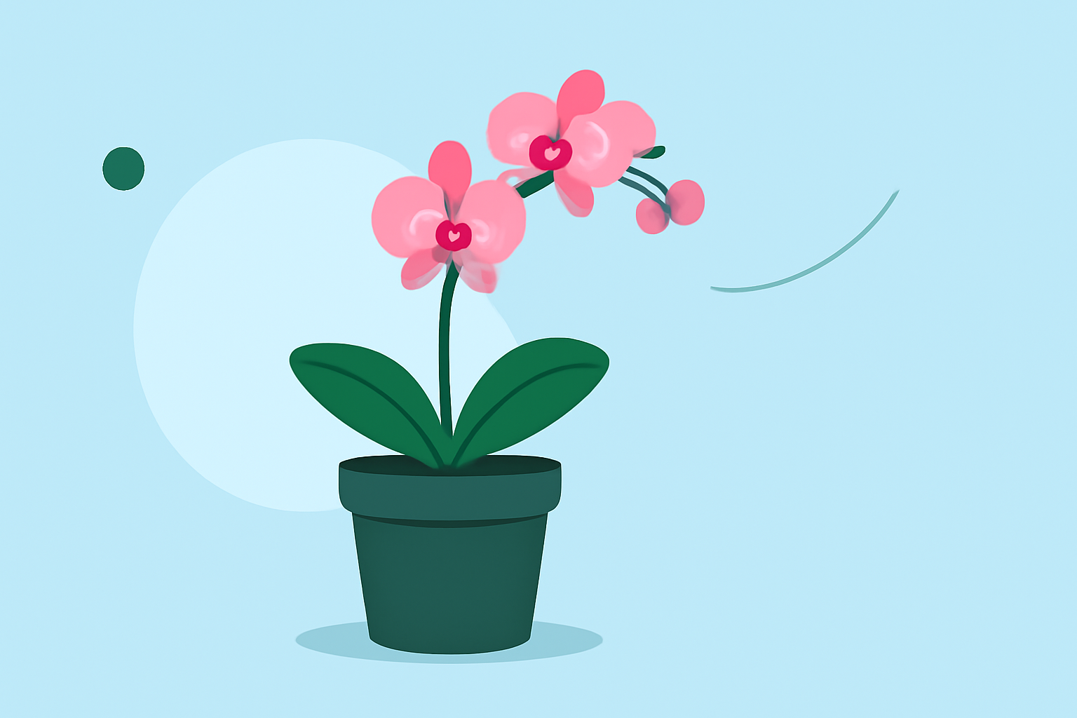 Avoid These Common Orchid Growing Mistakes in 2026