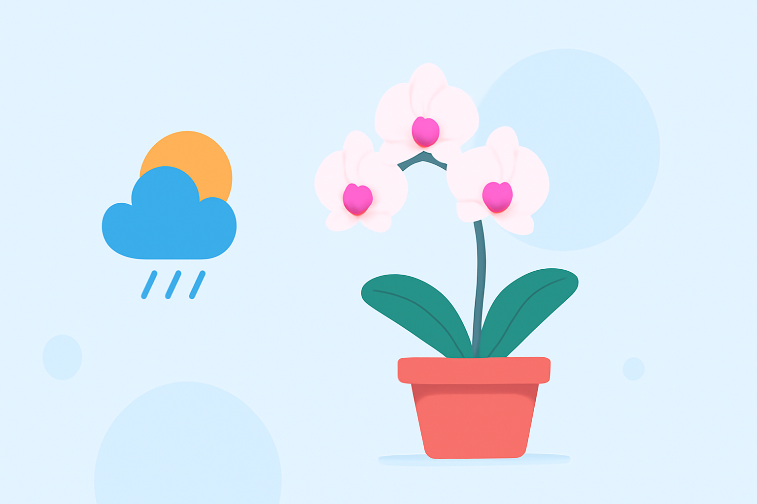 Weather Considerations for Beginner Orchid Growers