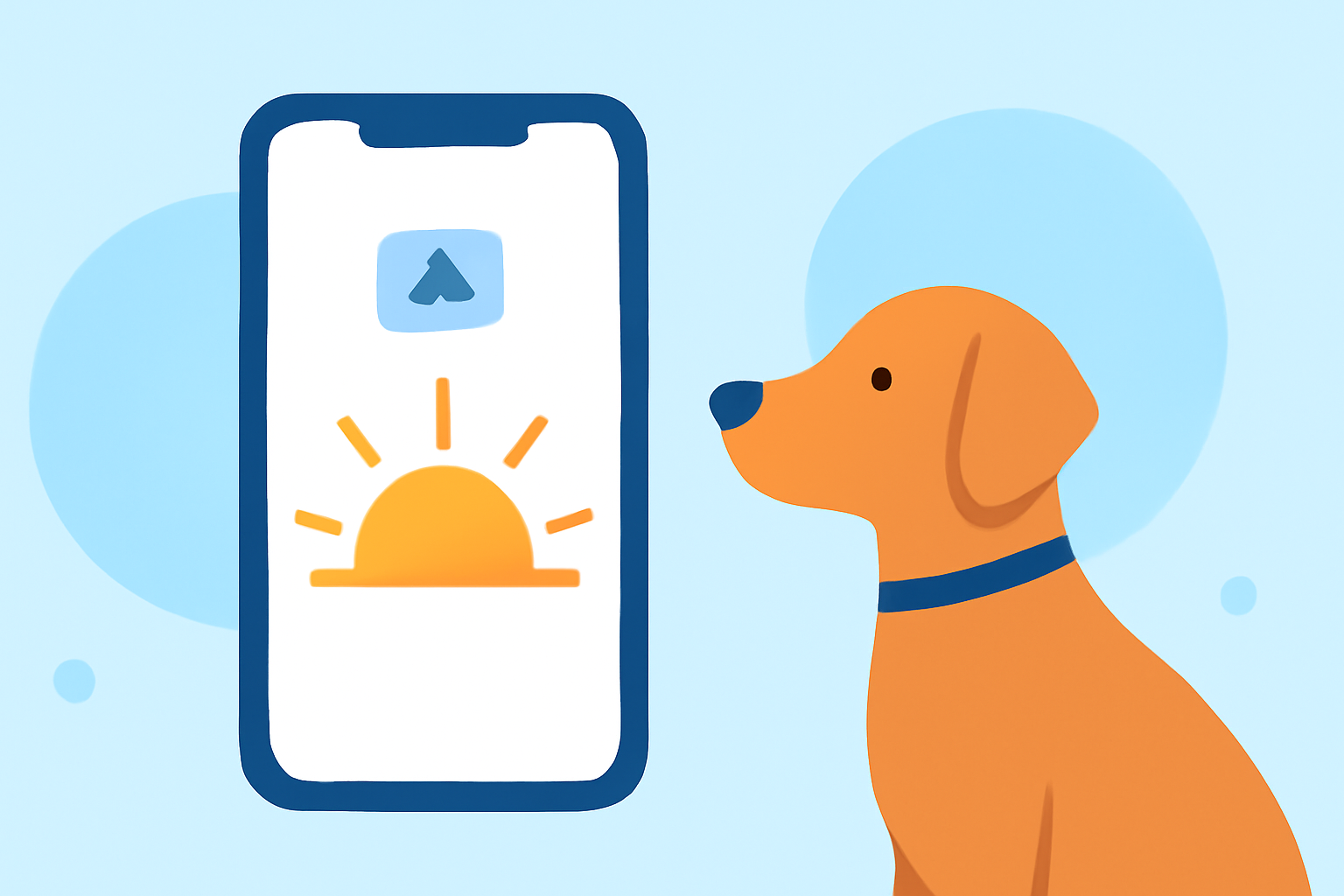 Enhancing Your Pet's Morning Routine with Sunrise Notifications