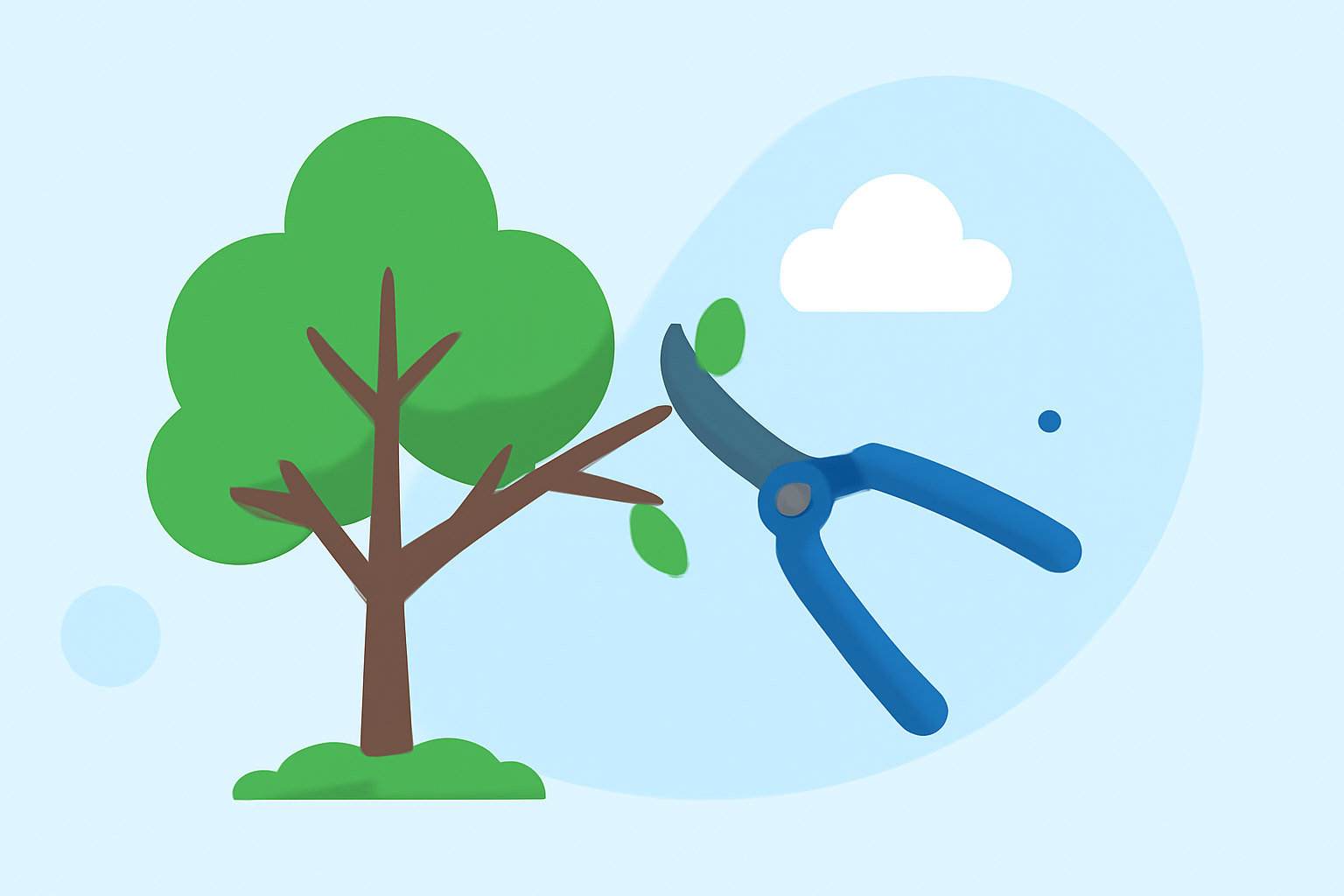 Weather and Tree Pruning: Essential Timing for Optimal Tree Health