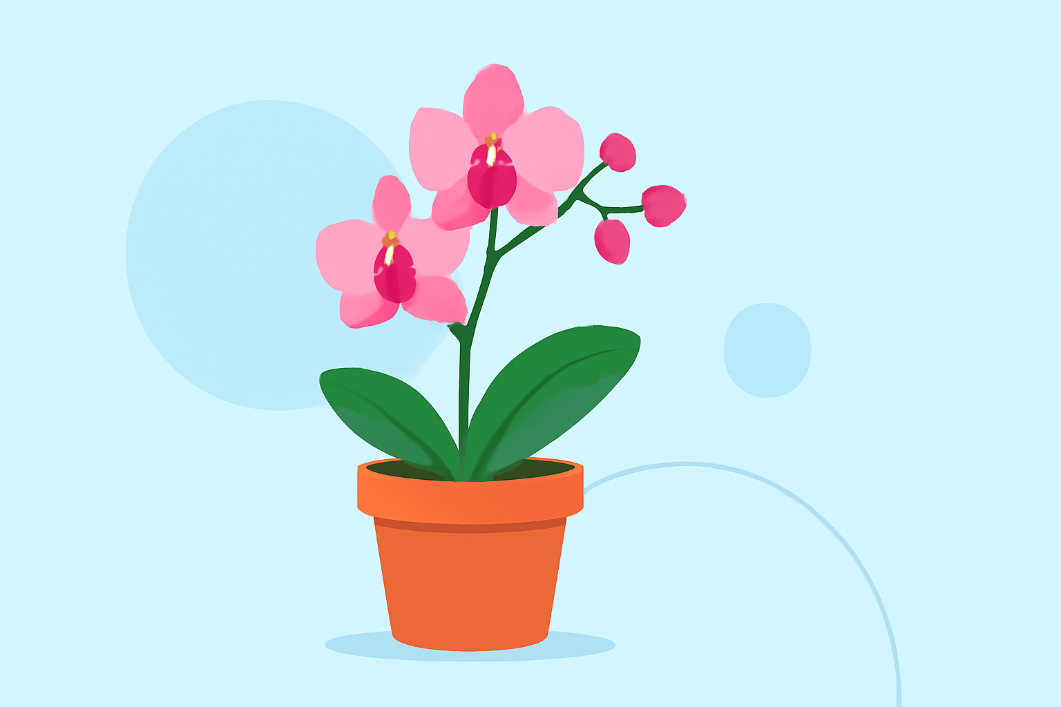 Easy Orchid Care for Pet Owners: A Comprehensive Guide