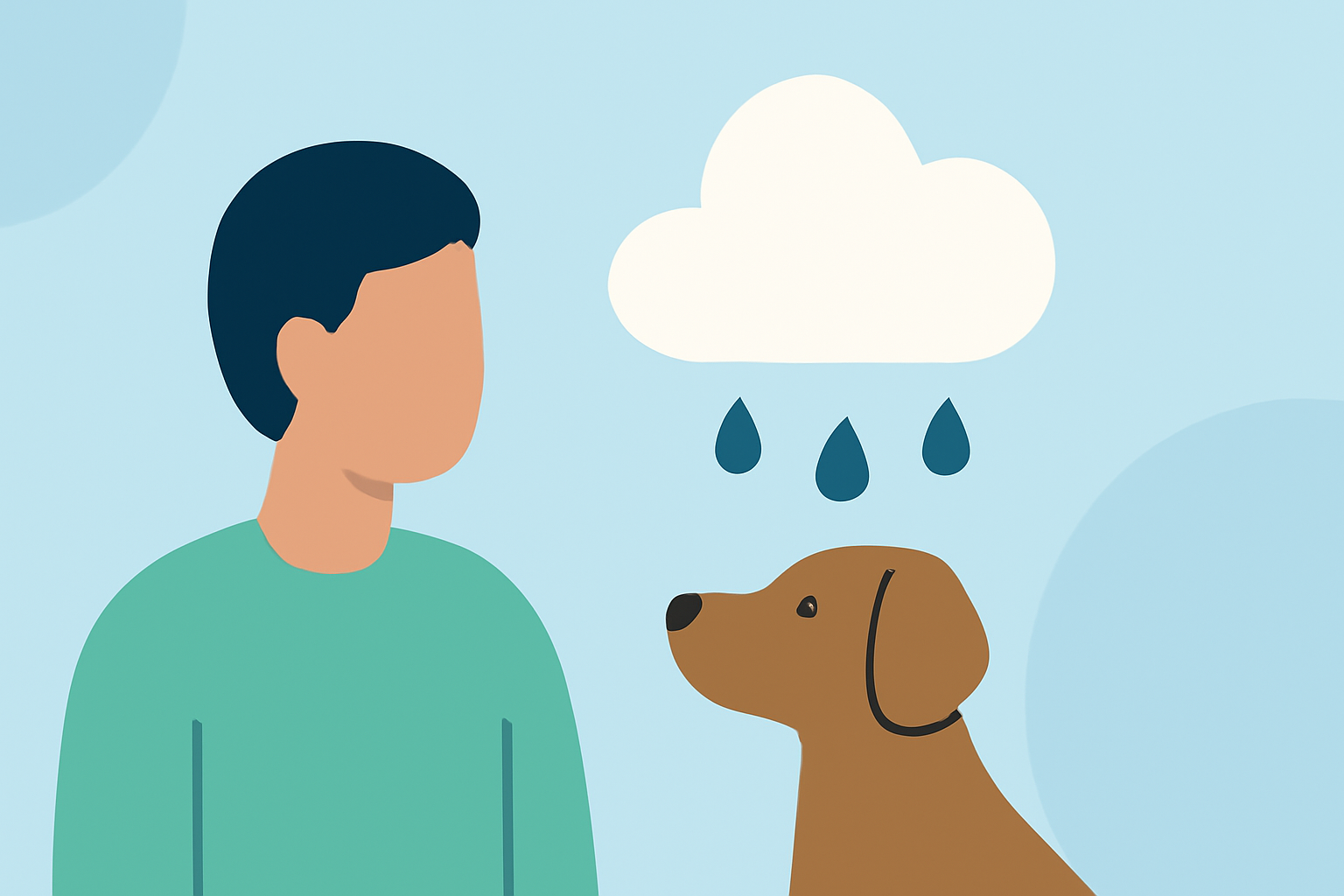 Understanding Rainfall Record Streaks and Their Impact on Pet Owners