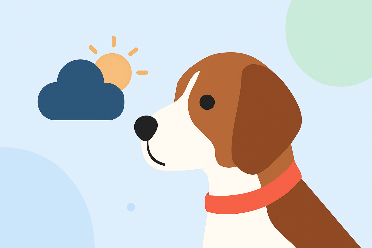Eye Health Weather Guide for Pet Owners