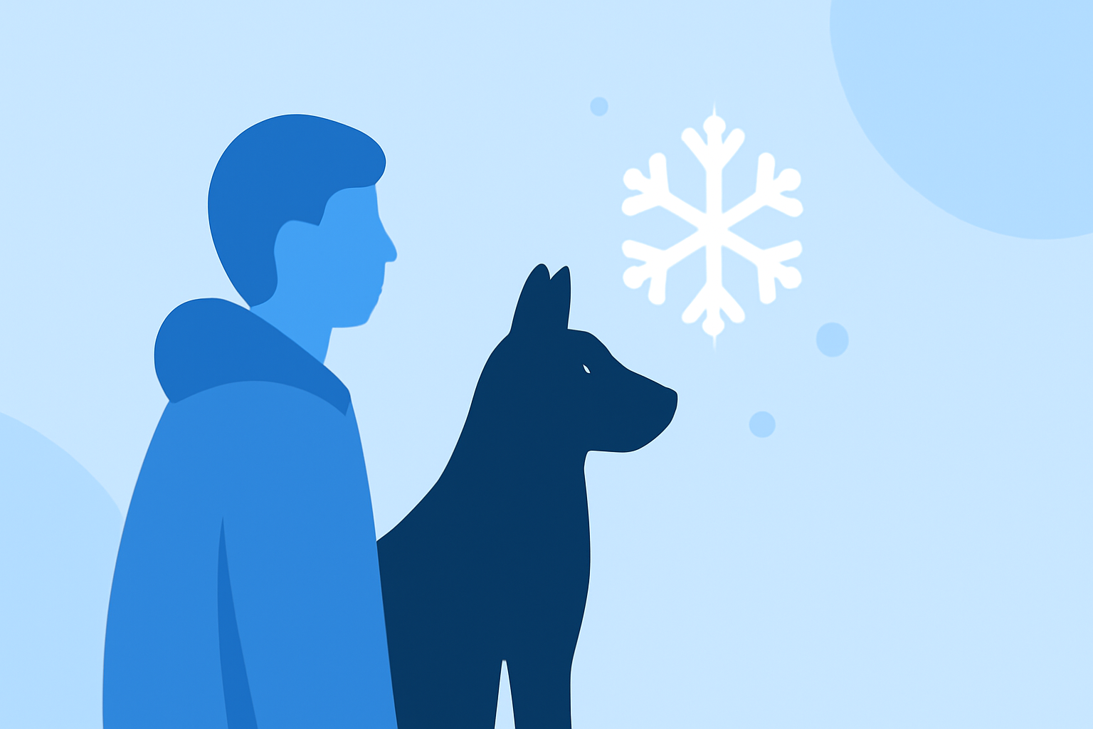 Snowfall Alerts Tips for Pet Owners