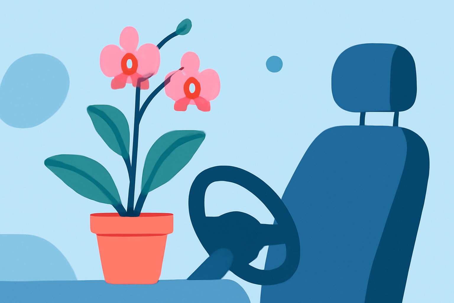 Growing Orchids in Your Car: A Beginner's Guide