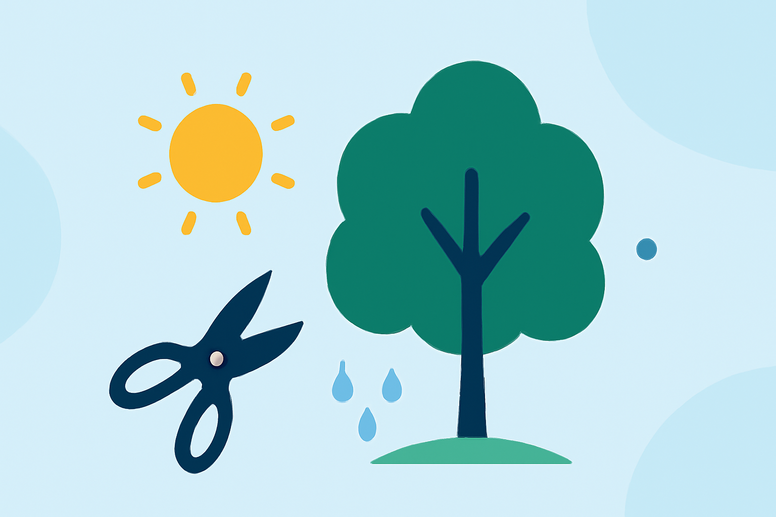 The Best Weather Considerations for Tree Pruning in 2026