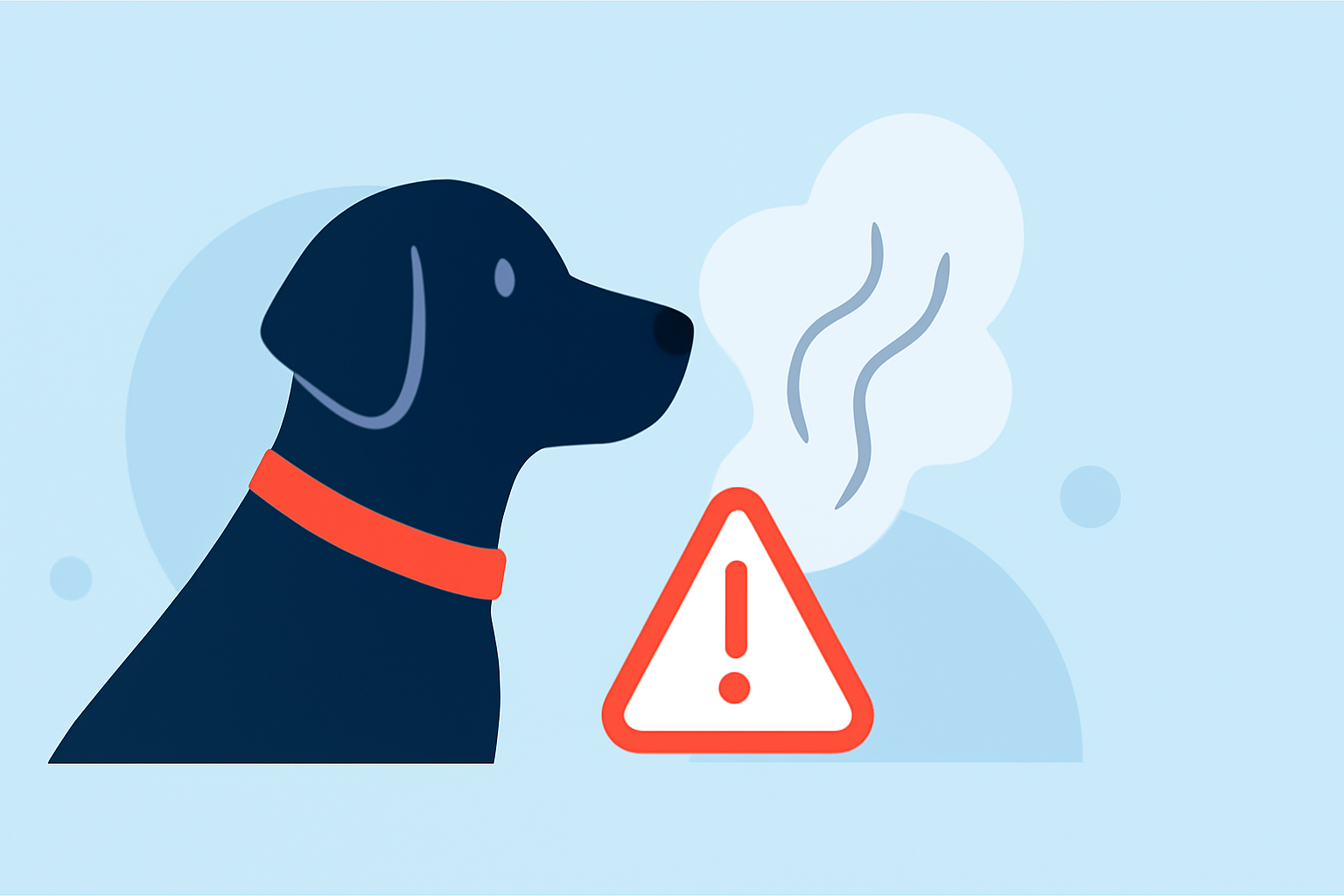 Wildfire Smoke Safety Cheat Sheet for Pet Owners