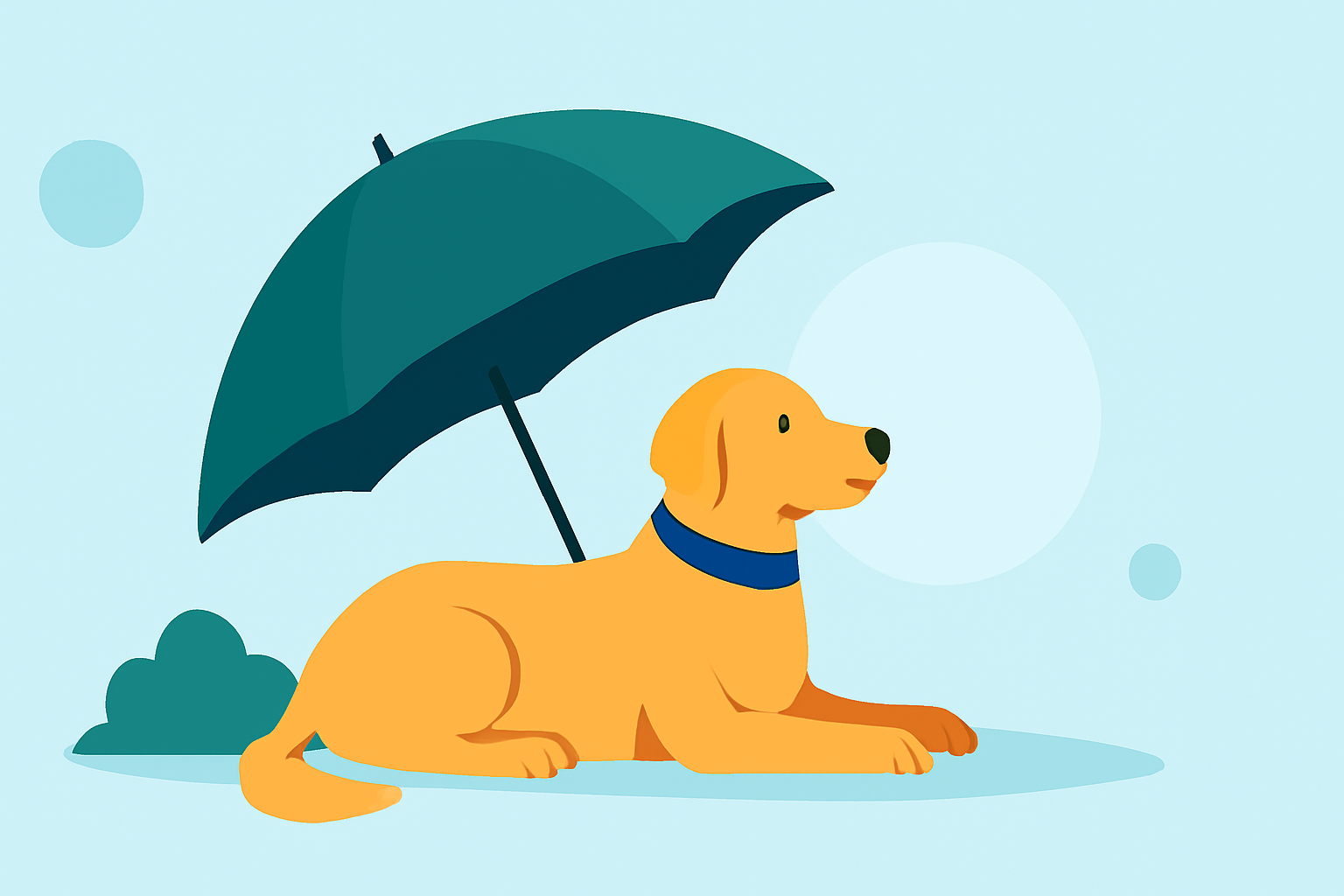 Ensuring Safe Outdoor Relaxation for Your Pet in Varying Weather Conditions