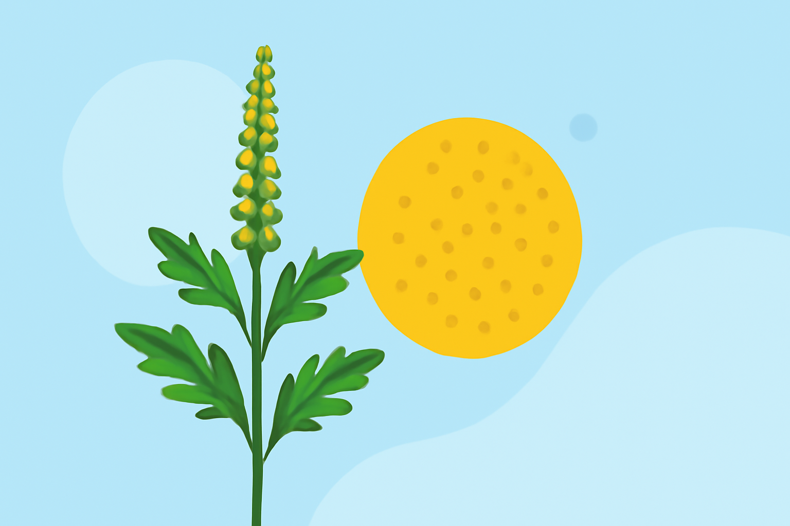 Understanding Ragweed Pollen: A Guide for the US