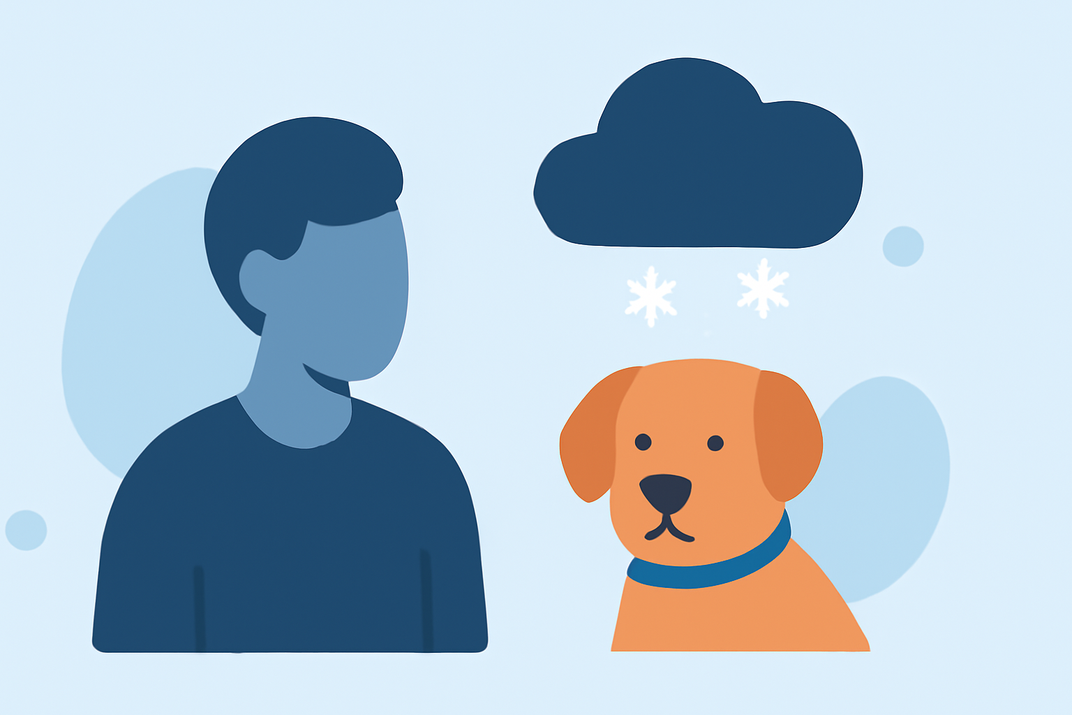 Common Winter Storm Outlooks Questions for Pet Owners