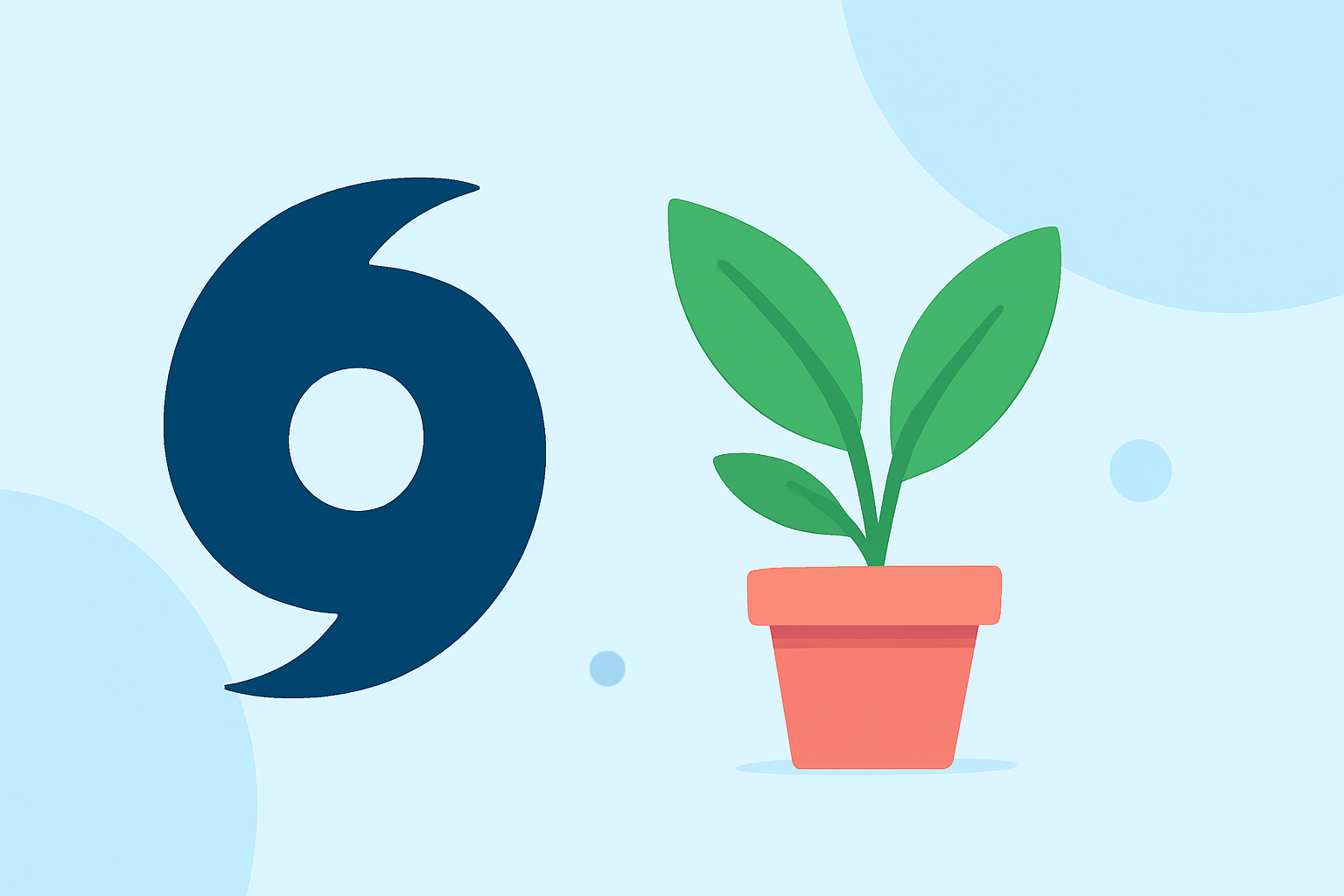 Understanding Hurricane Categories: A Gardener's Guide to Protecting Your Plants