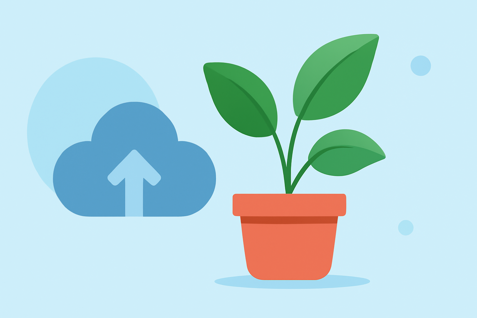 Weather for Indoor Plant Care Basics During Outdoor Events